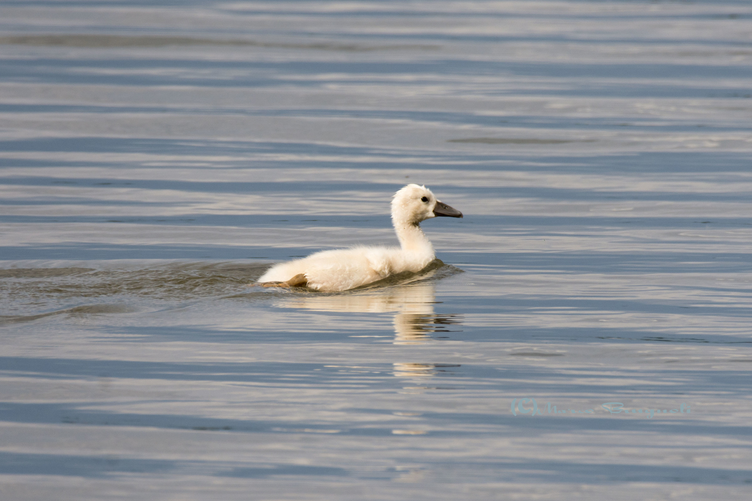 After one month of birth.