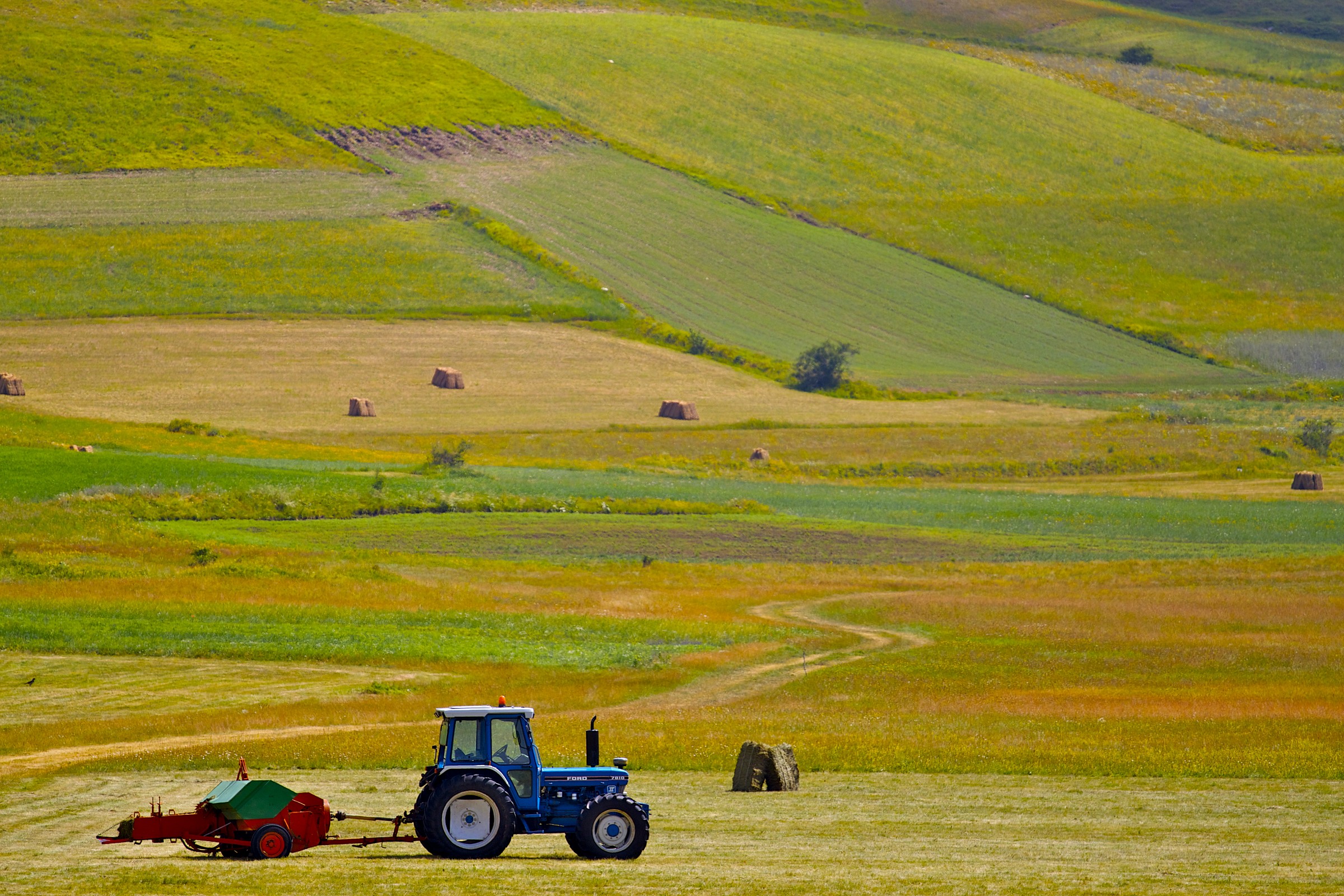 Lavoro di trebbiatura