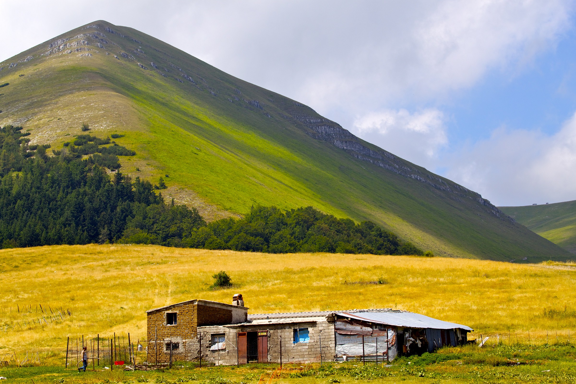 Accommodation of non-EU shepherds ....