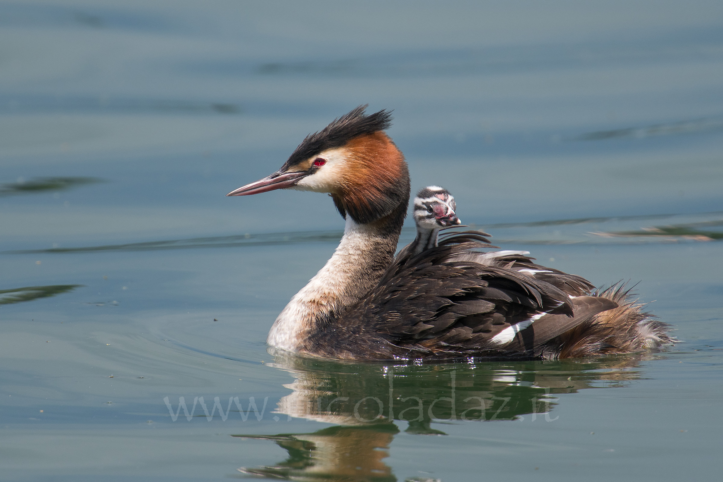 Recommended in hd ....... the other on my website