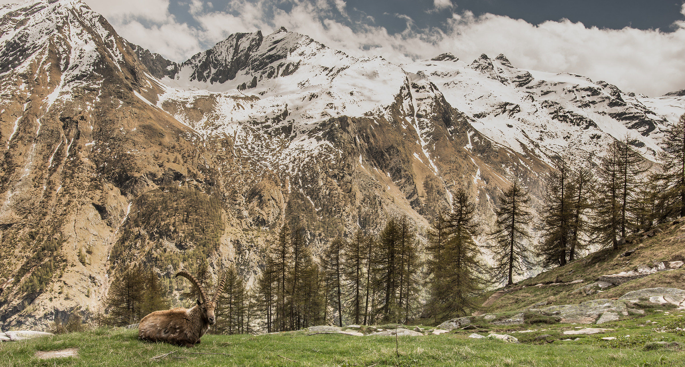 The rest after the long winter ...