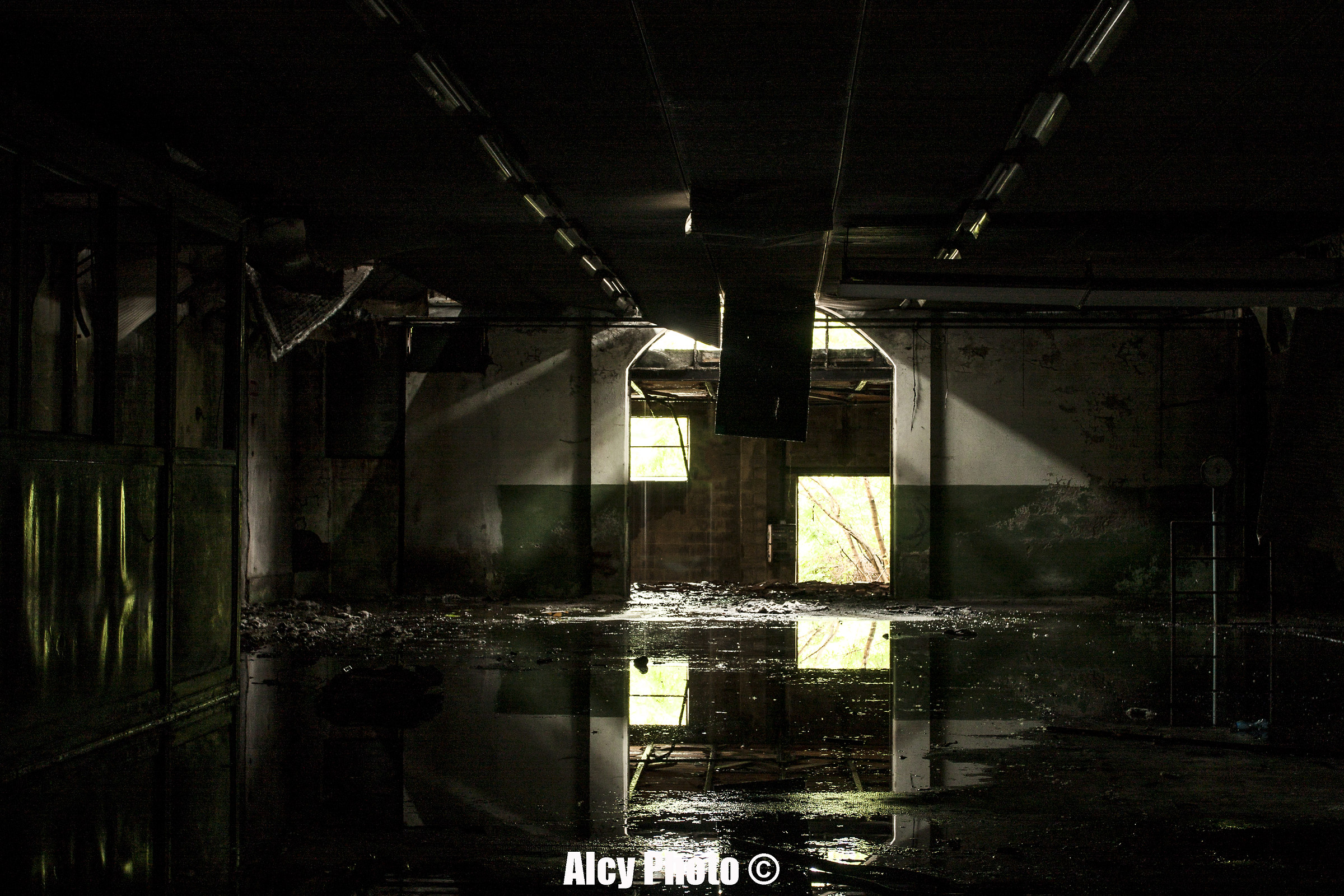 abandonment reflections