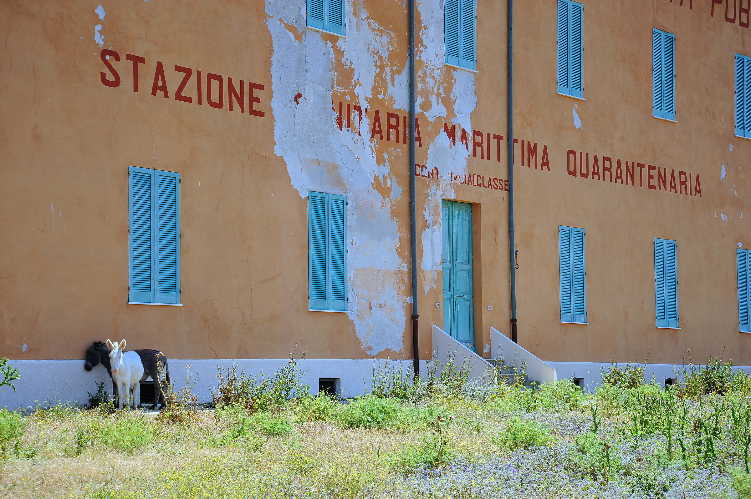 Parco Nazionale dell'Asinara