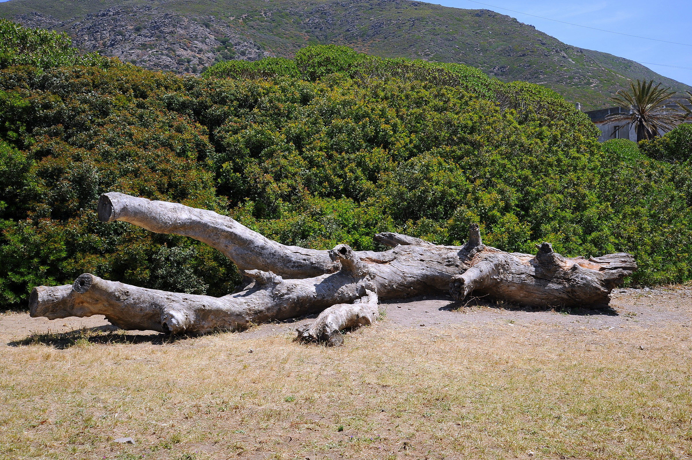 Parco Nazionale dell'Asinara