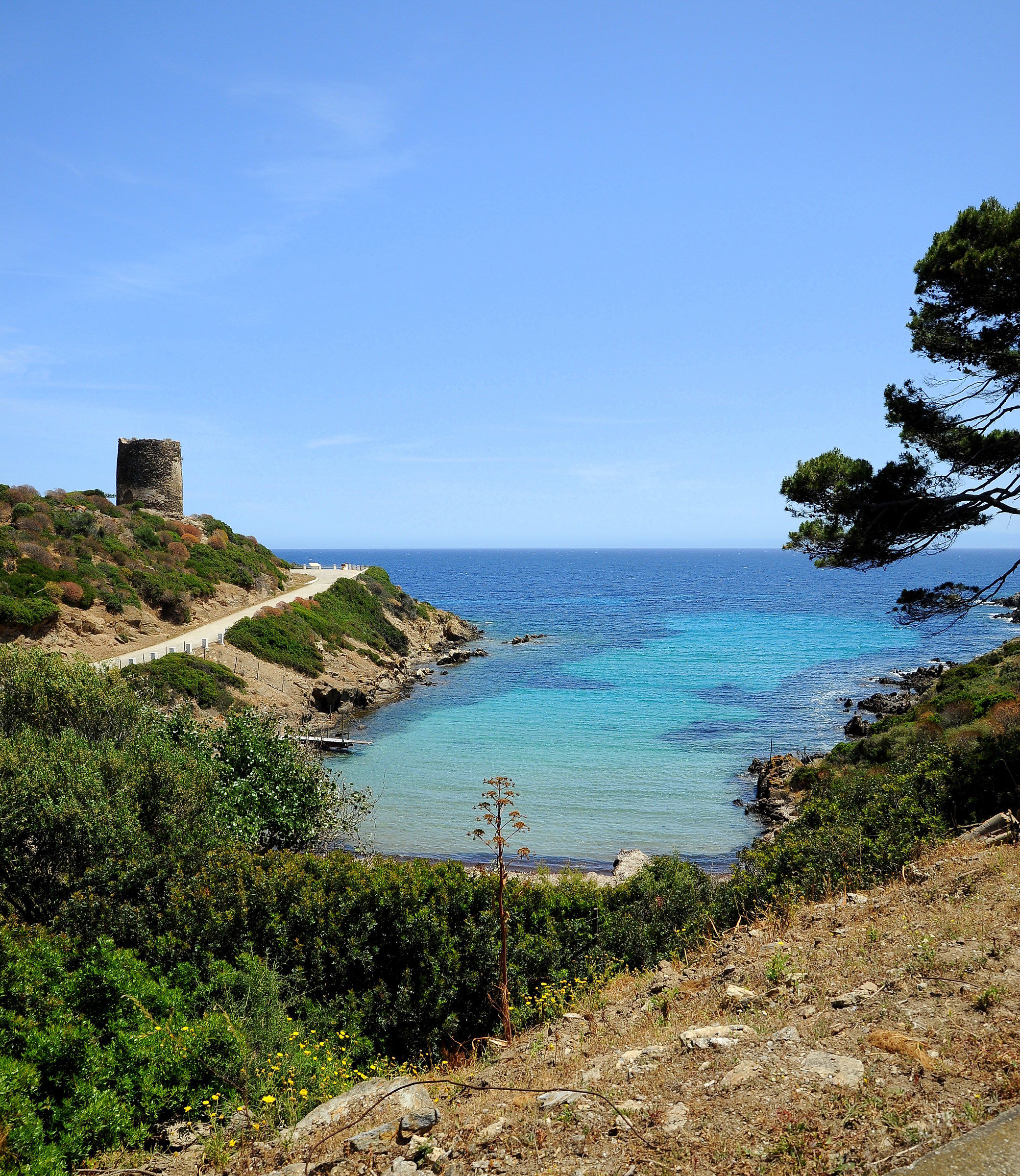 Parco Nazionale dell'Asinara