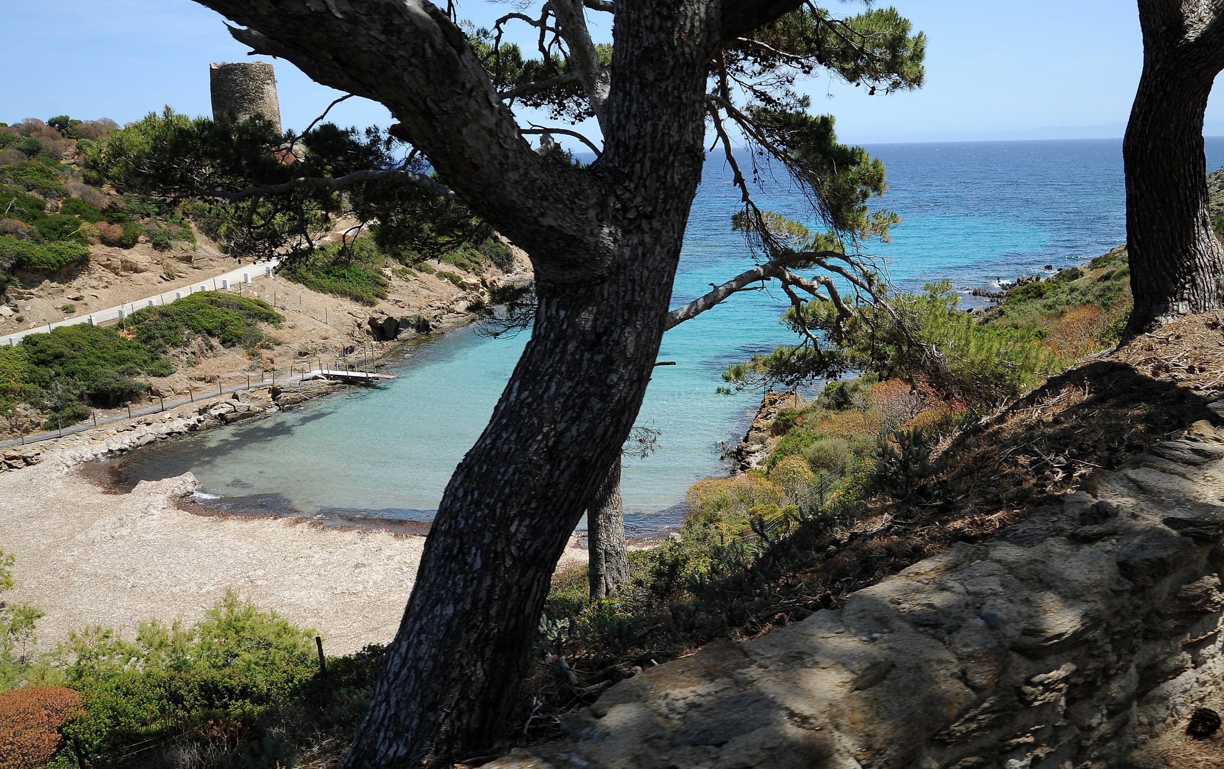 Parco Nazionale dell'Asinara