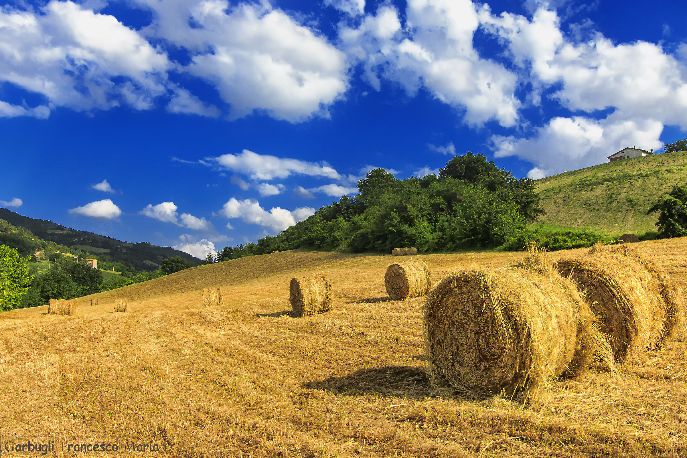 one-time colors in Val Metauro