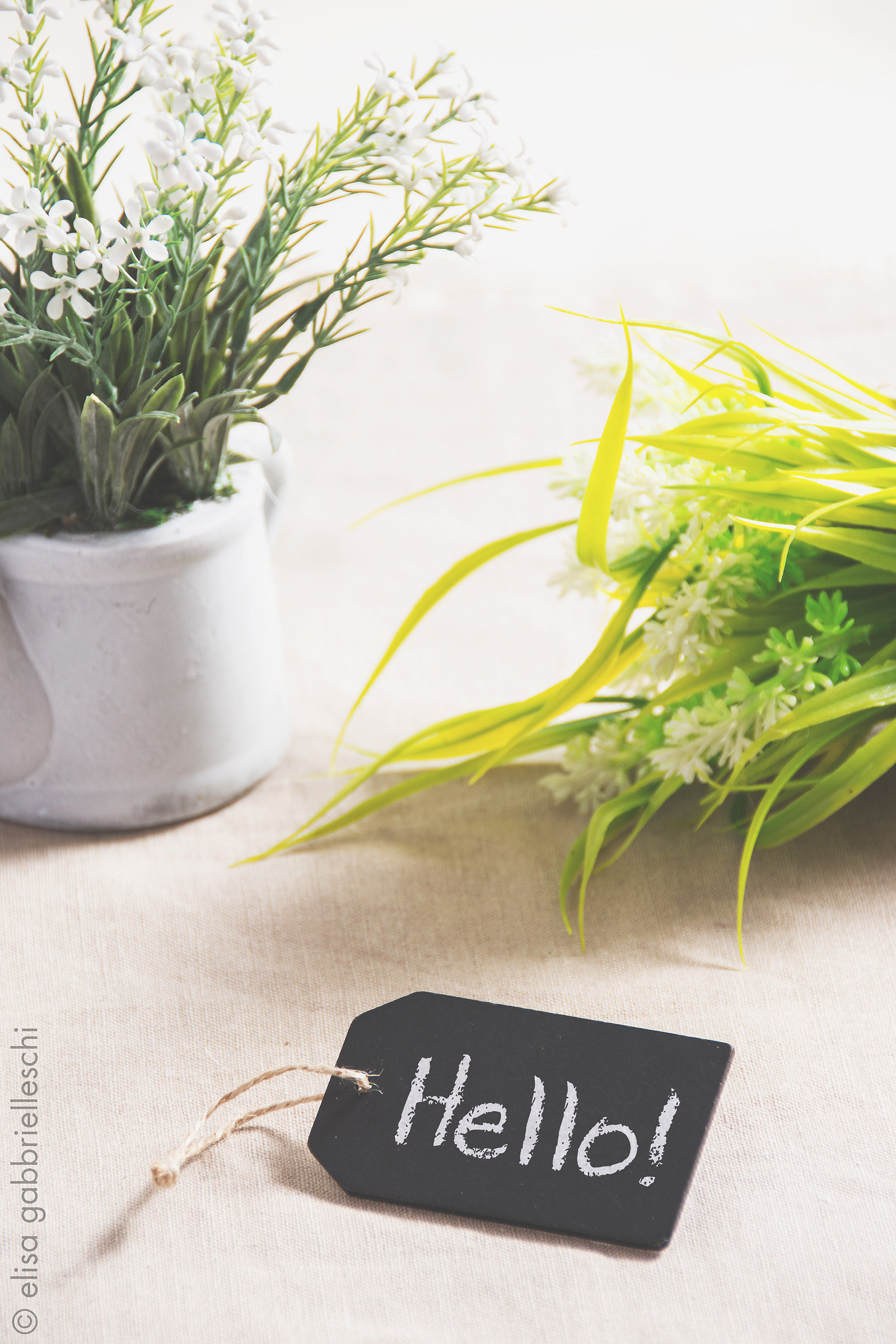 Hello! Pot with label flower ...