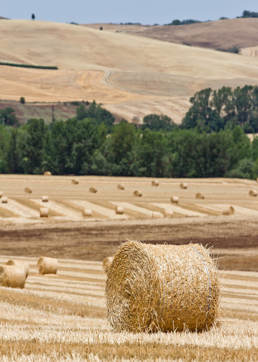 Val d'Orcia, giugno 2012