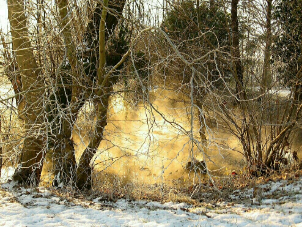 Sunrise at resurgences 2