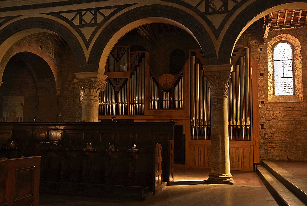 organ