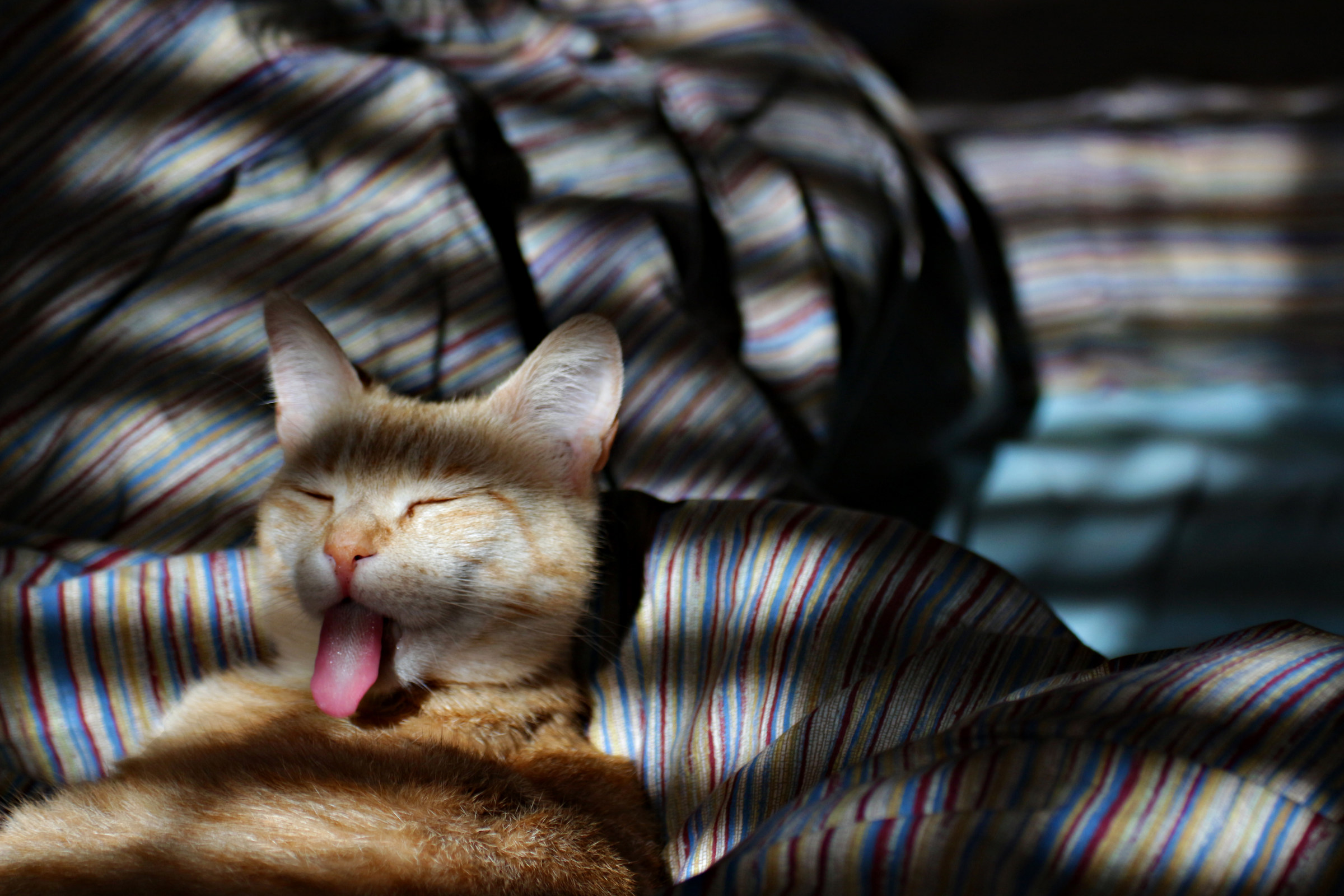 Una doccia fra le sbarre