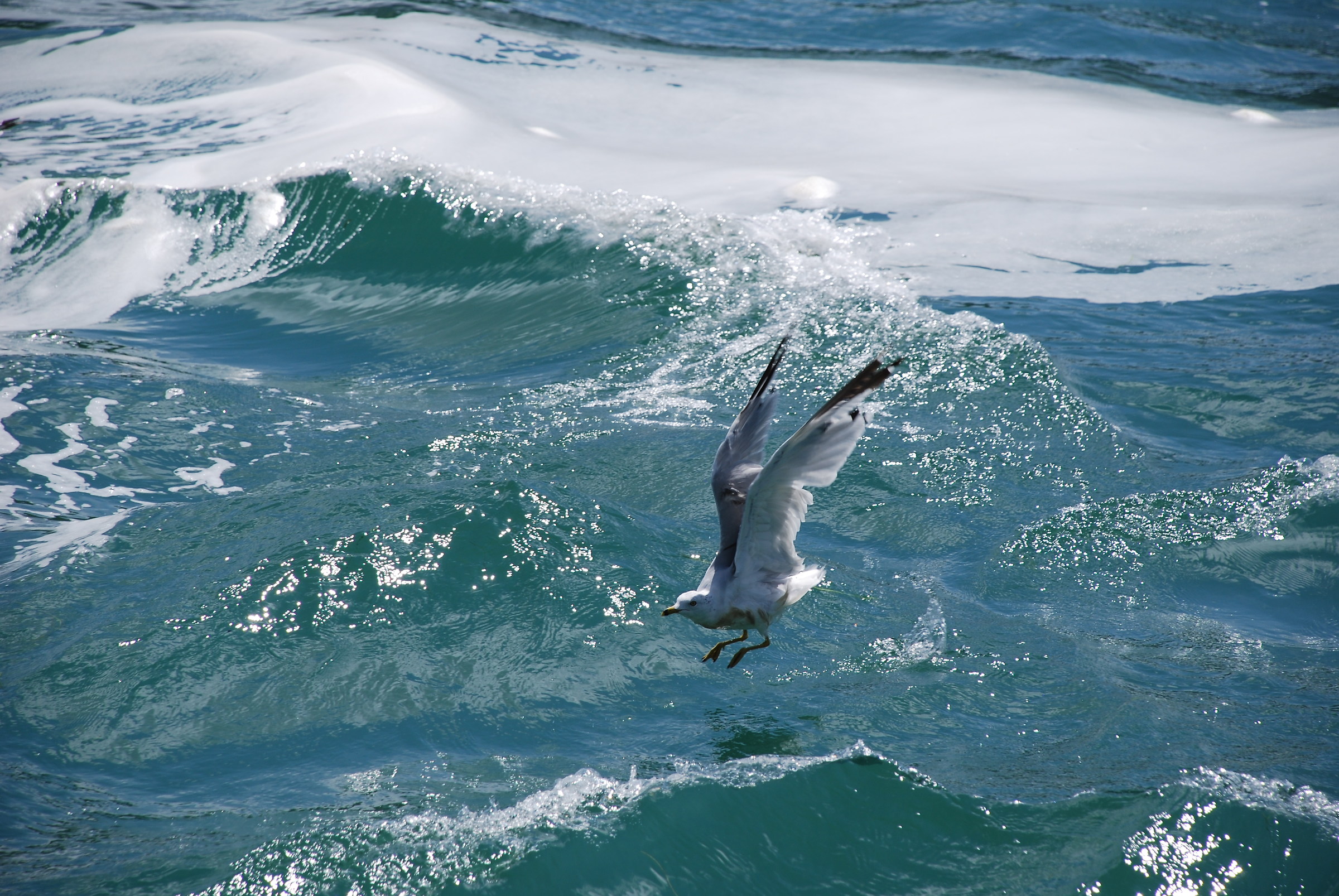 Meanwhile in Toronto