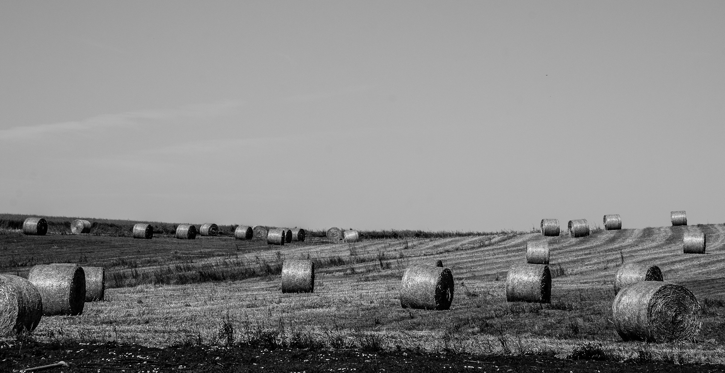 rolls, rolling v. b / n