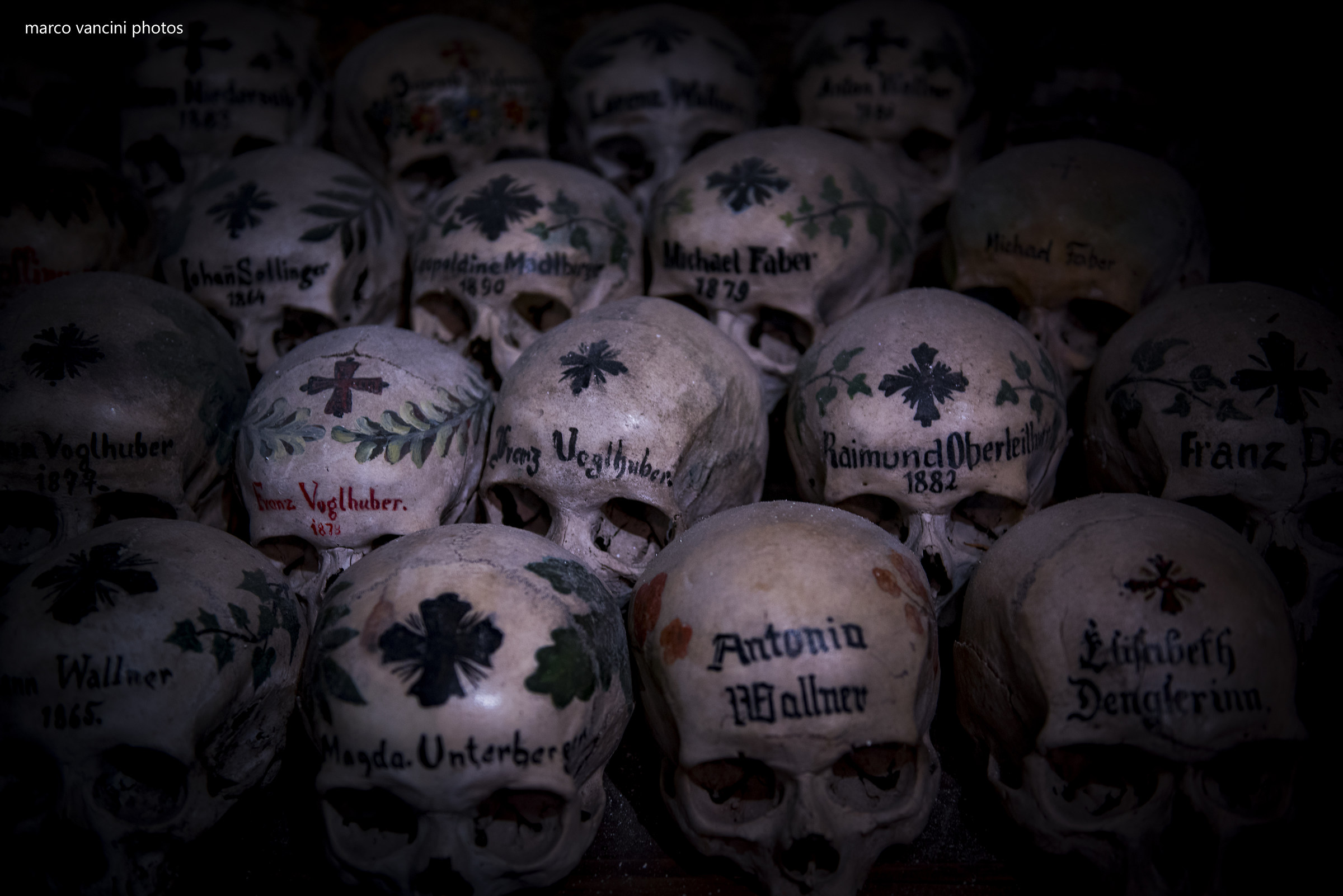 collezione di teschi