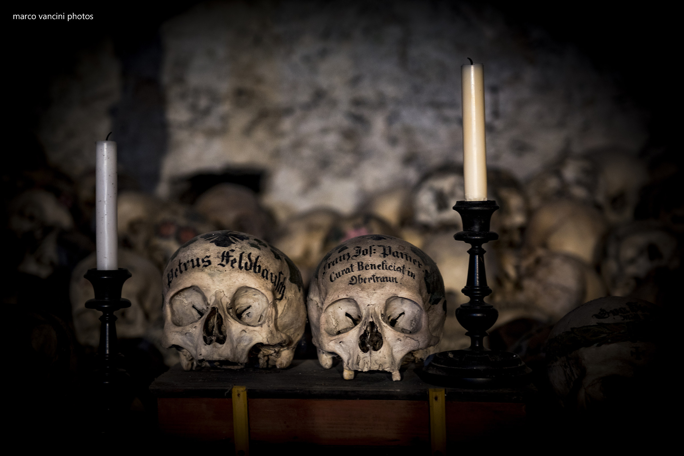 collezione di teschi