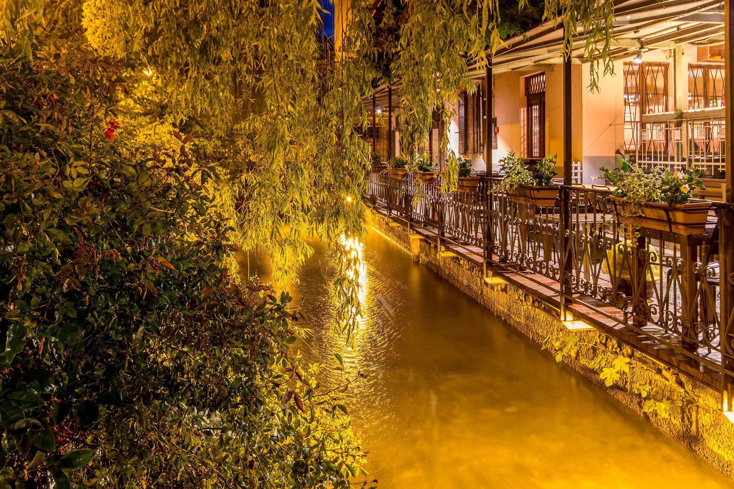 The warm evening light