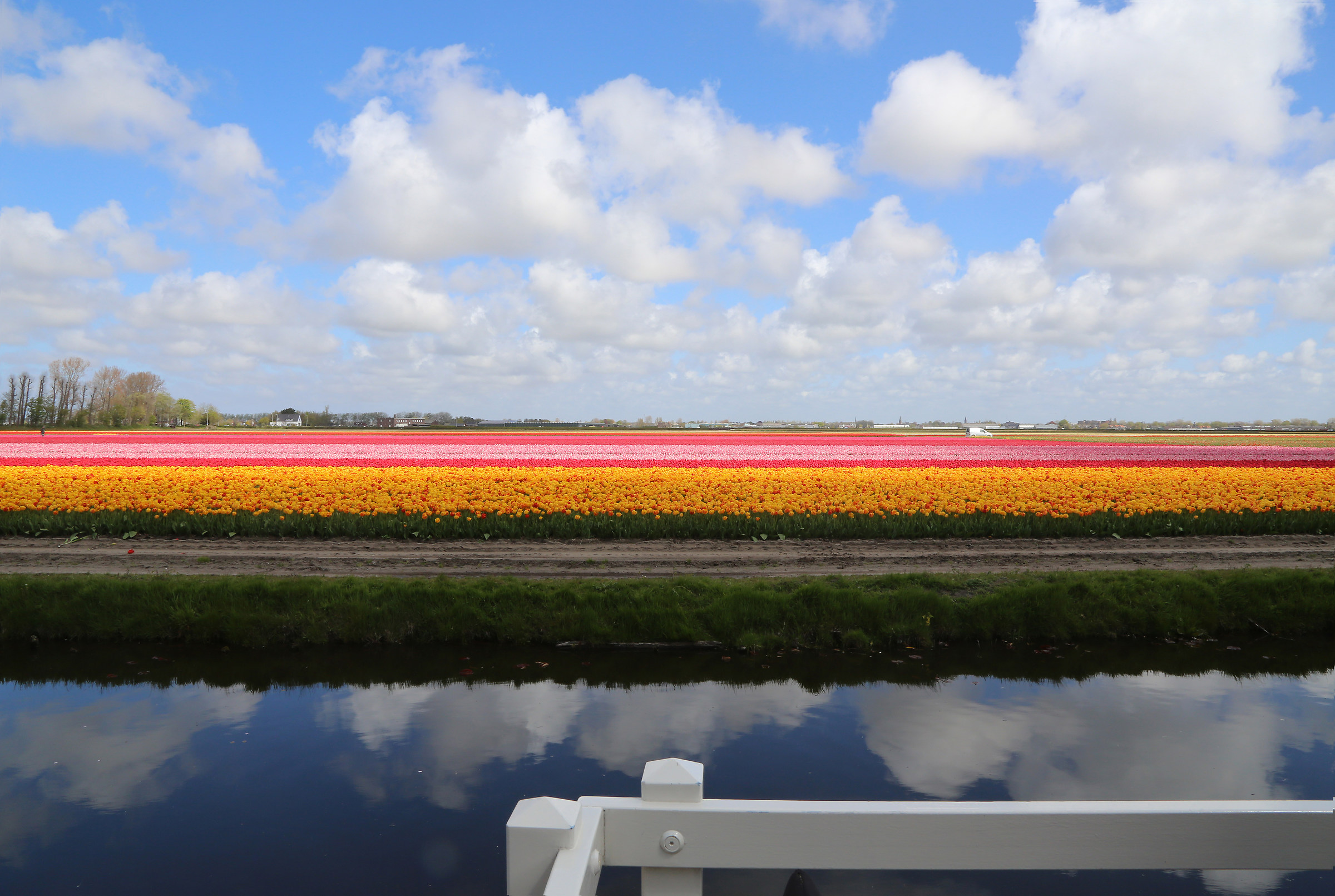 keukenhof netherlands