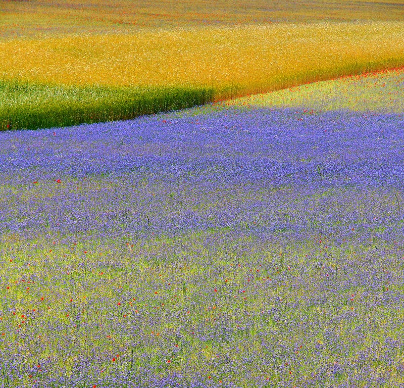 Impressionismo fotografico...