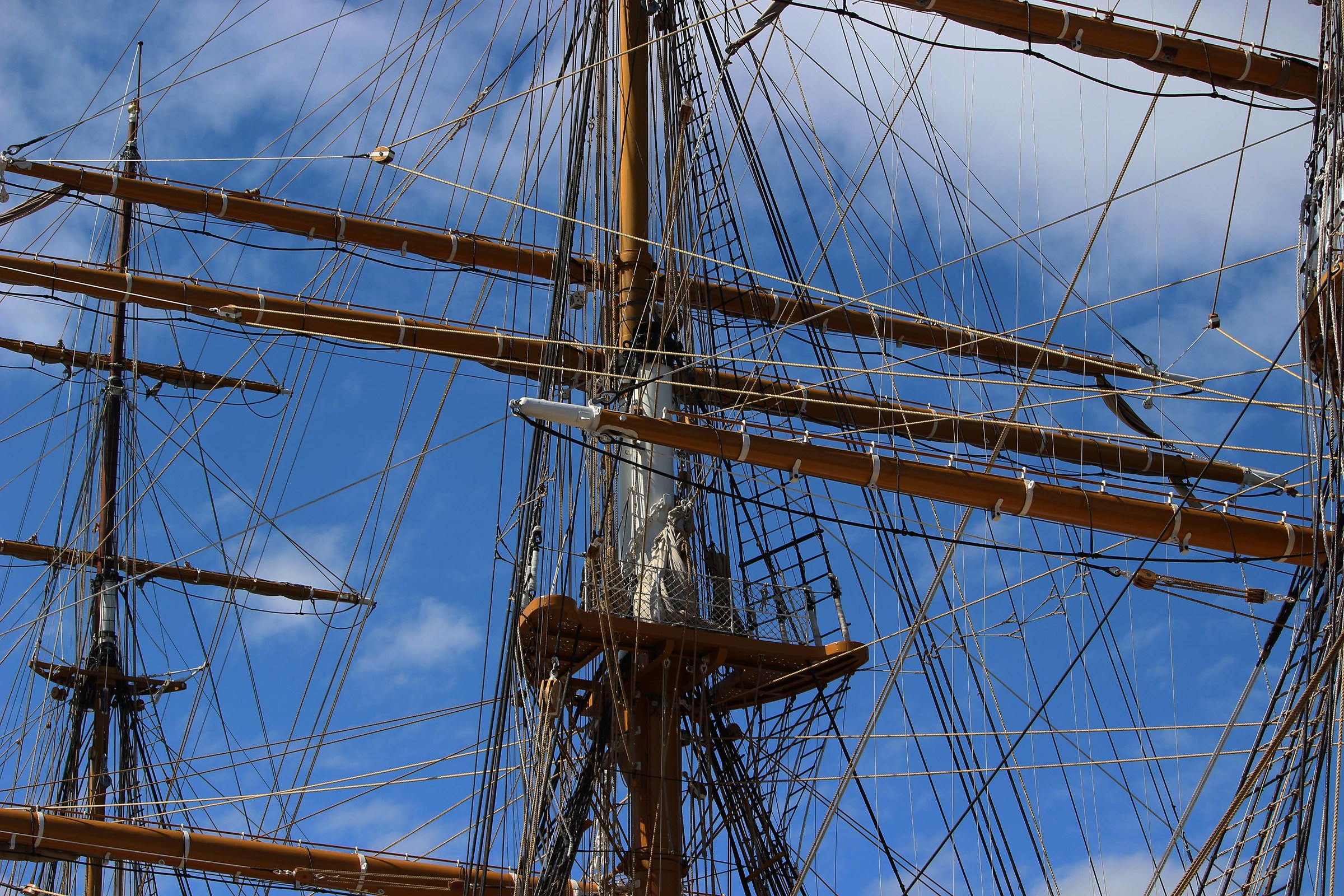 The alberl in the blue sky