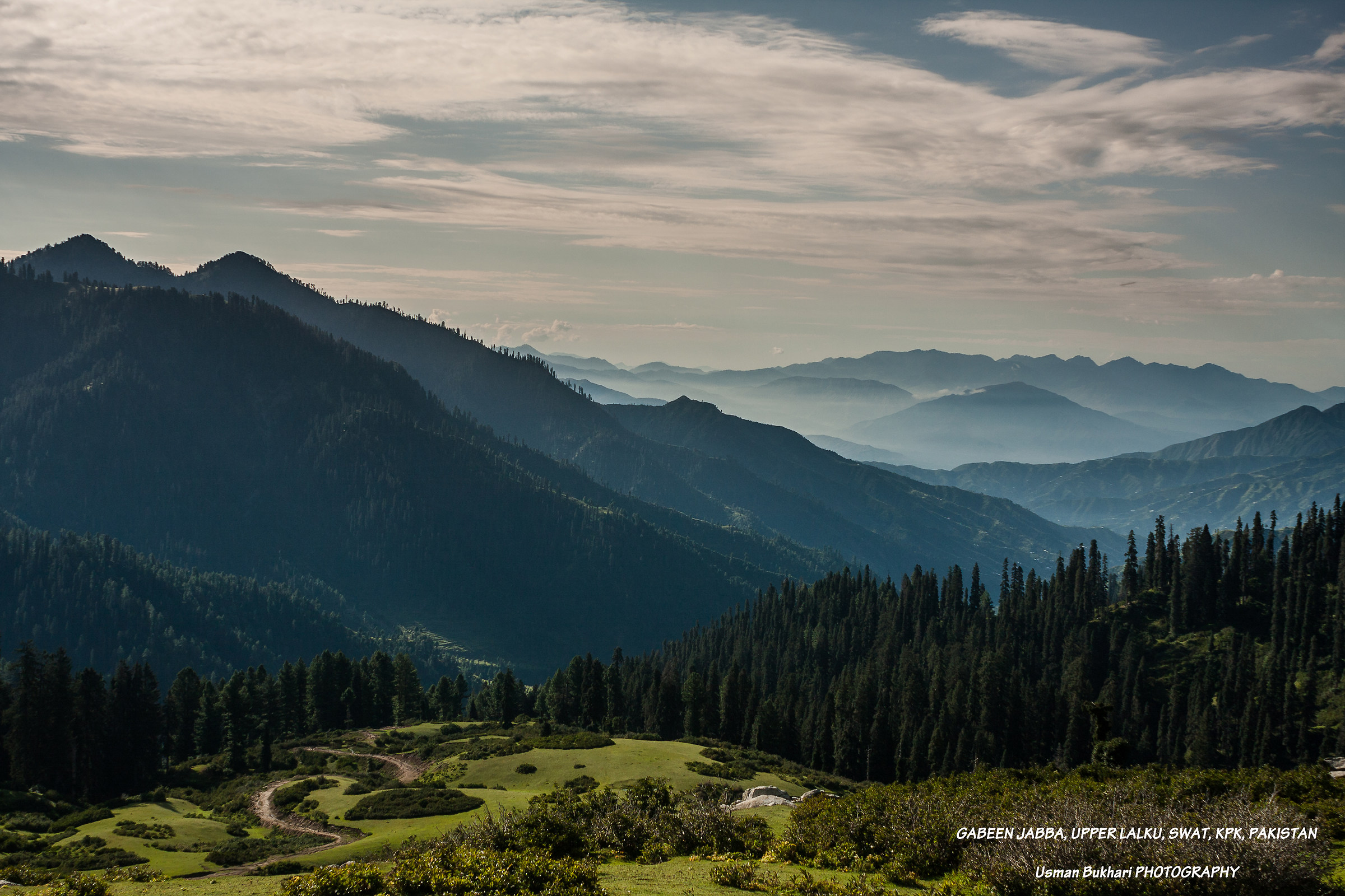 Gabeen Meadows, Swat, Pakistan