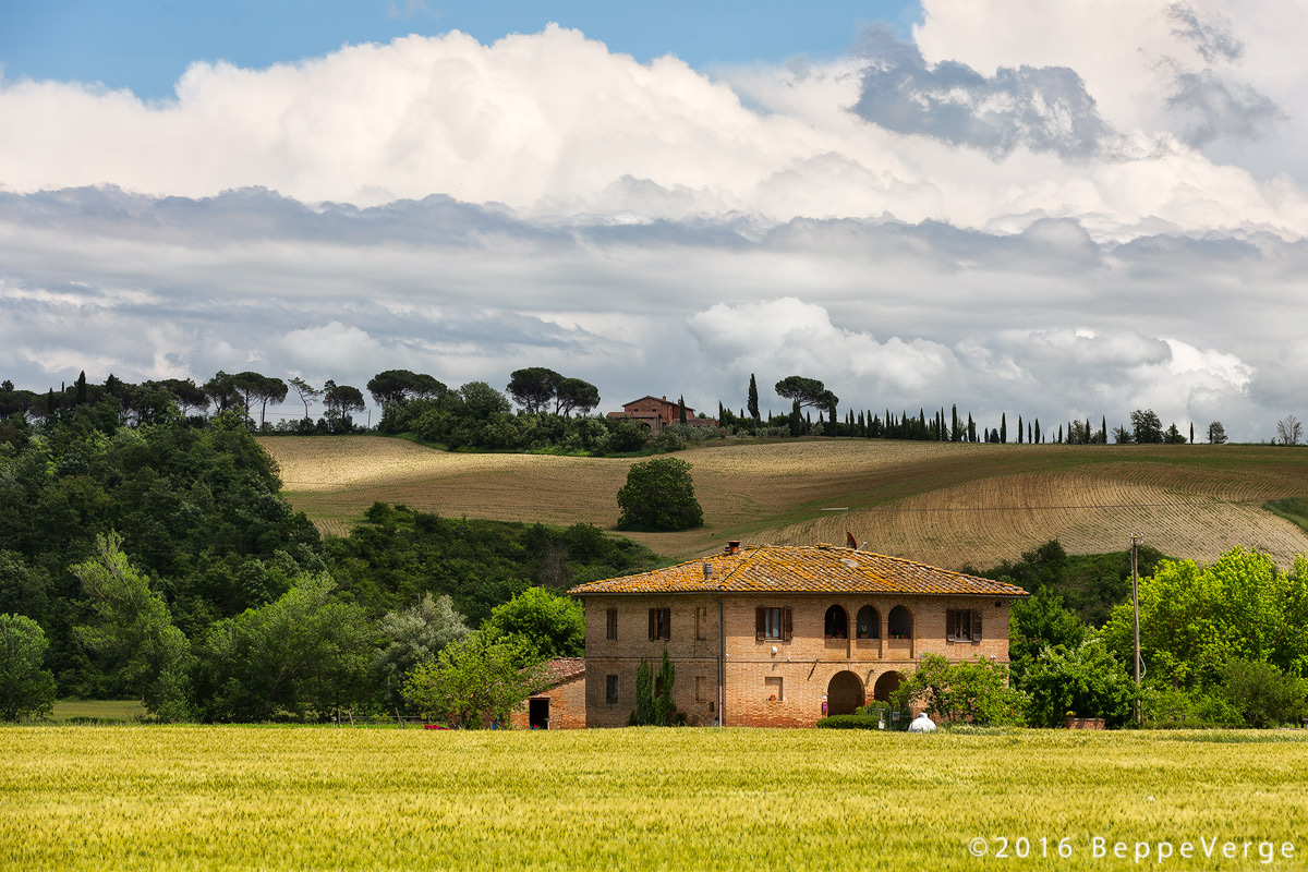 Tra le colline Senesi