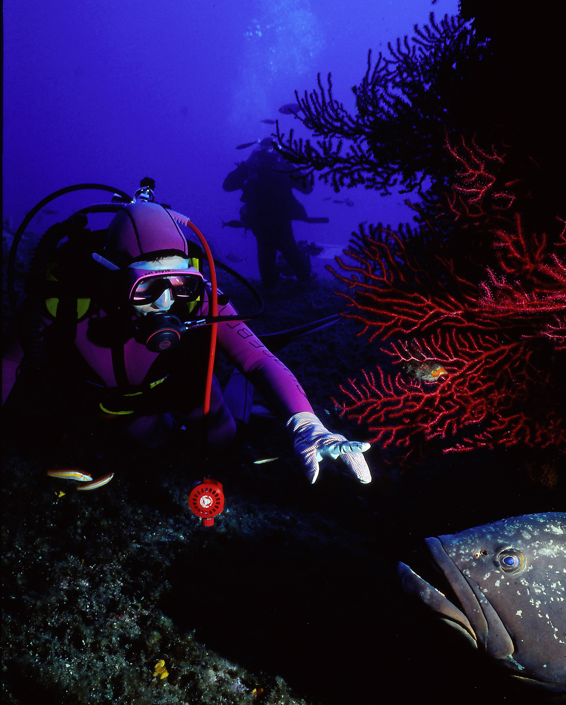 Island of Lavezzi, Corsica