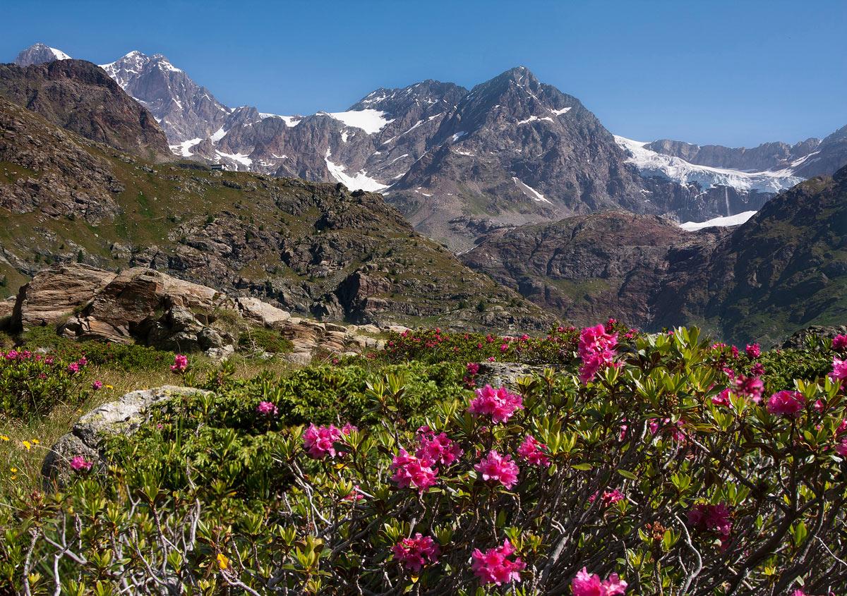 Ghiacciaio fellaria superiore
