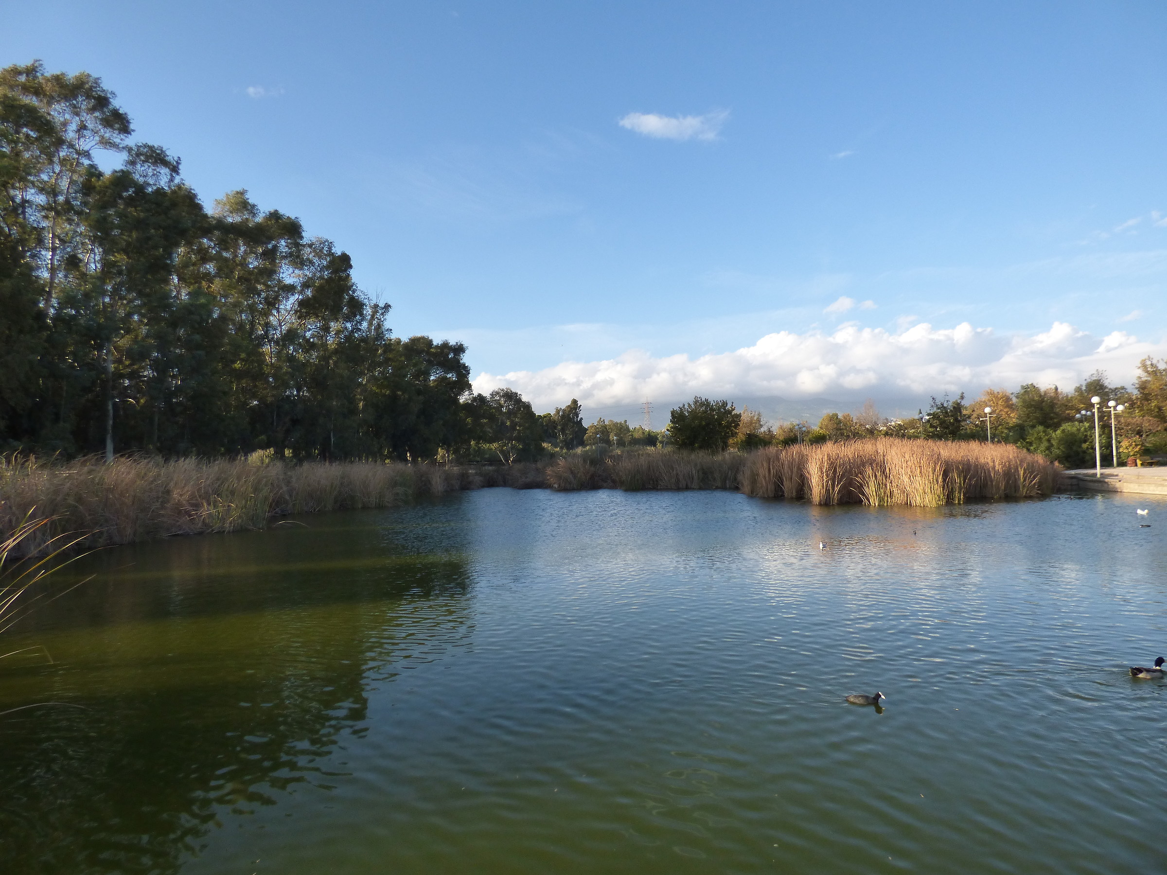 Attiki, Ilion, parco Antonis TRITSIS