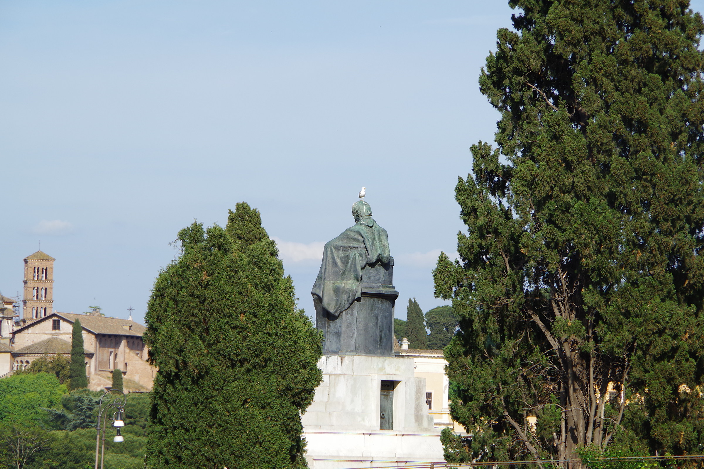 Il solito gabbiano...