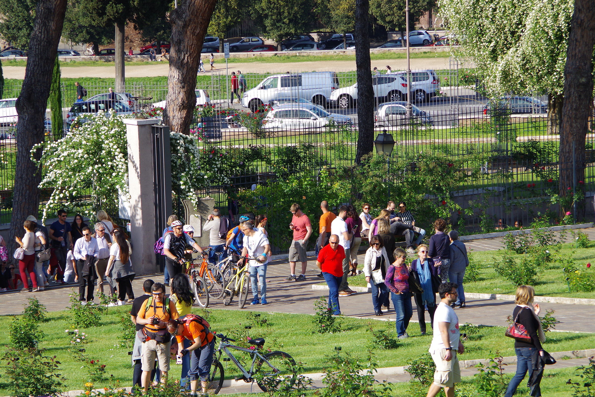 Gente di Roma al Roseto comunale