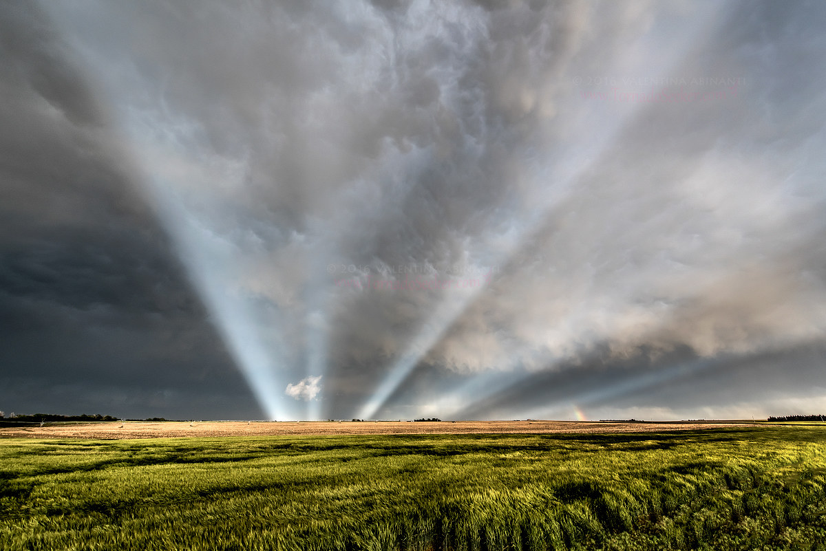 anticrepuscolari rays