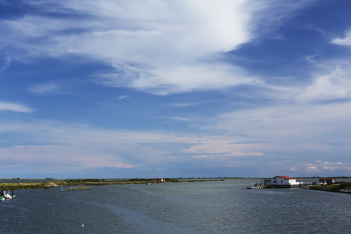 Delta del Po - Nei pressi di Taglio di Po
