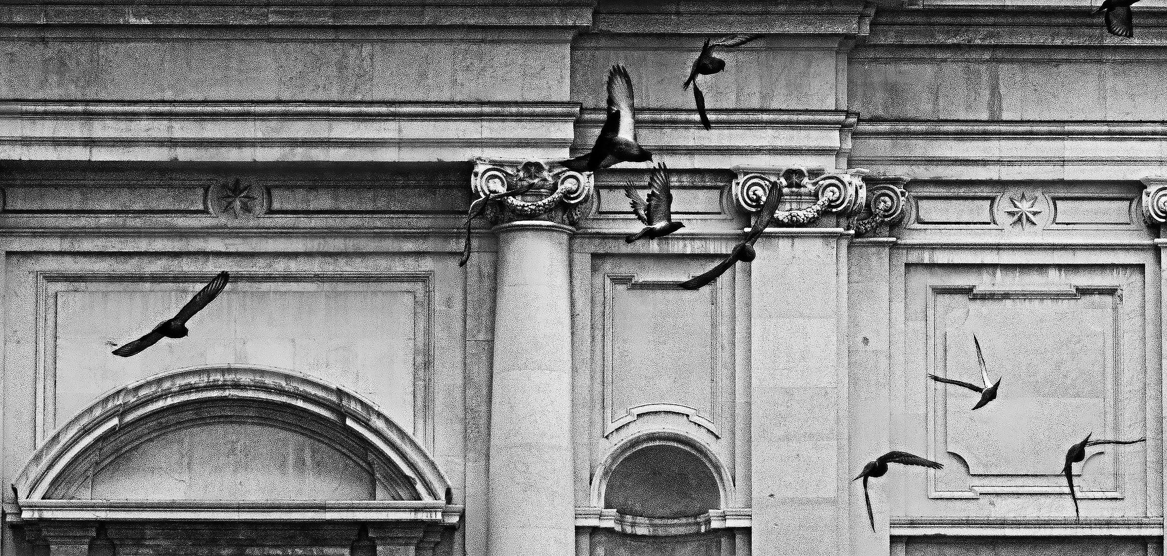 the fixed and the volatile