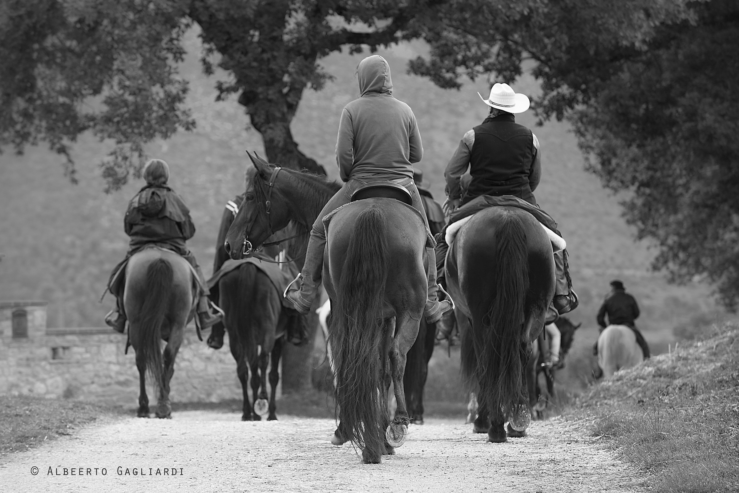 A horse between Hills and Ancient Walls