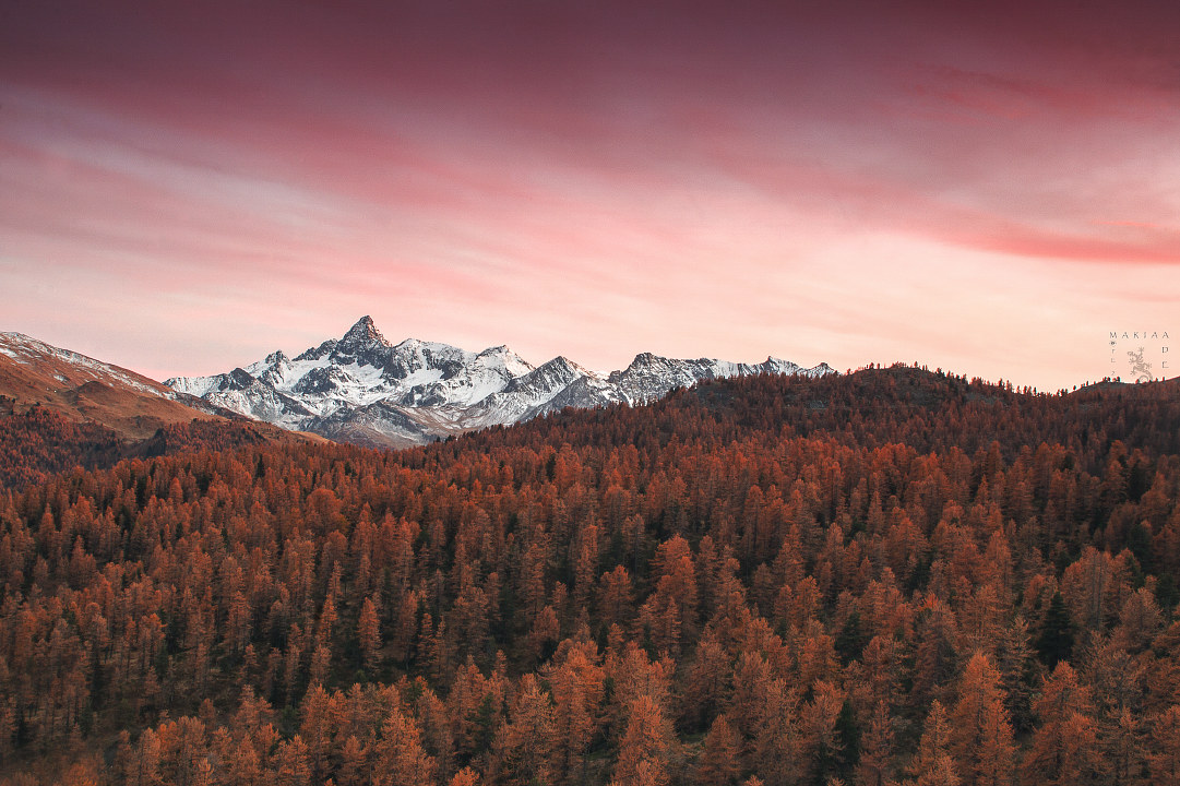 wonderful .... and You