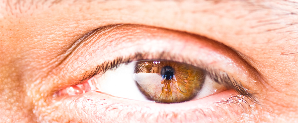 Il mondo da un altro punto di vista