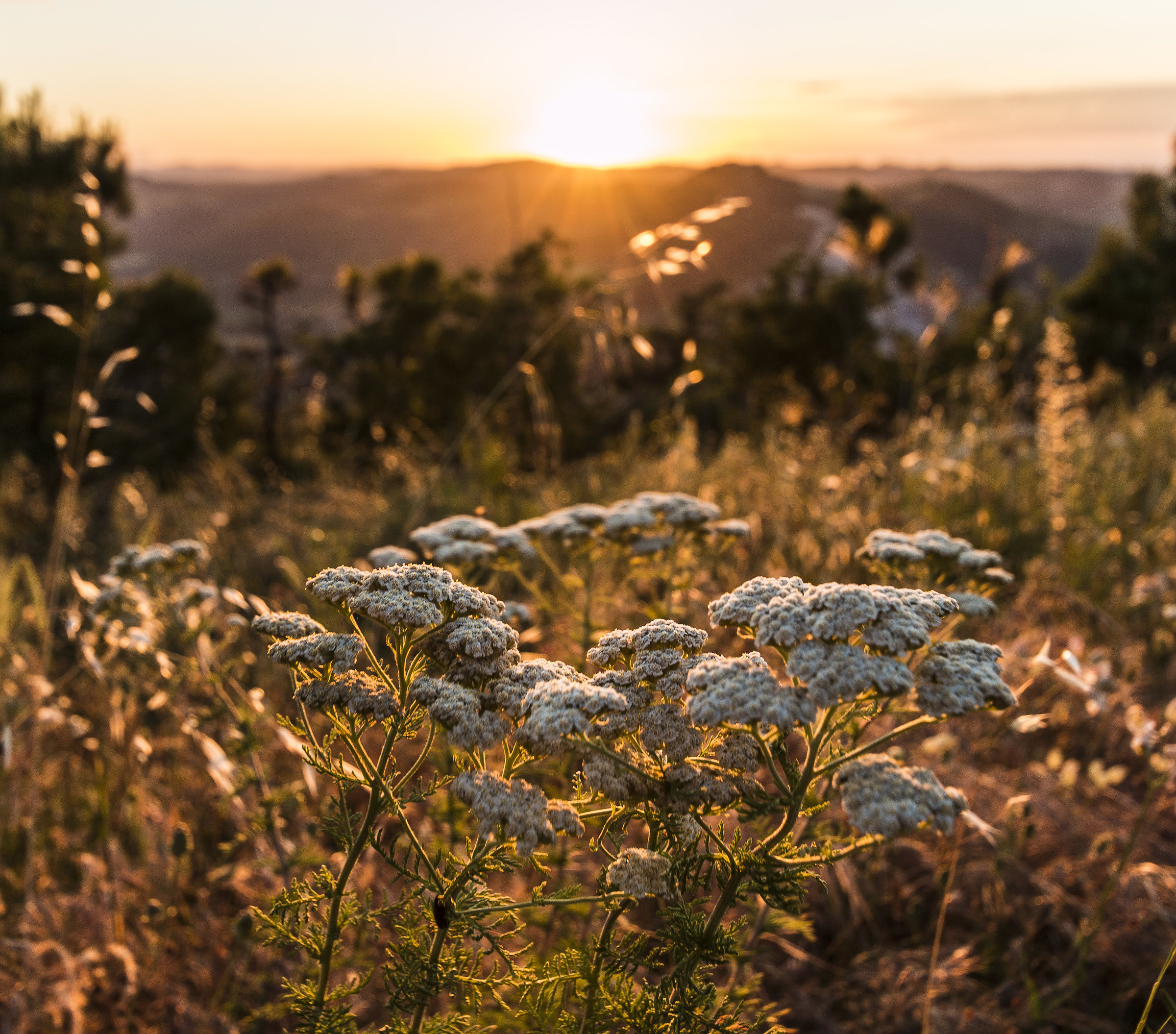 Sunset in Torriana (RN)