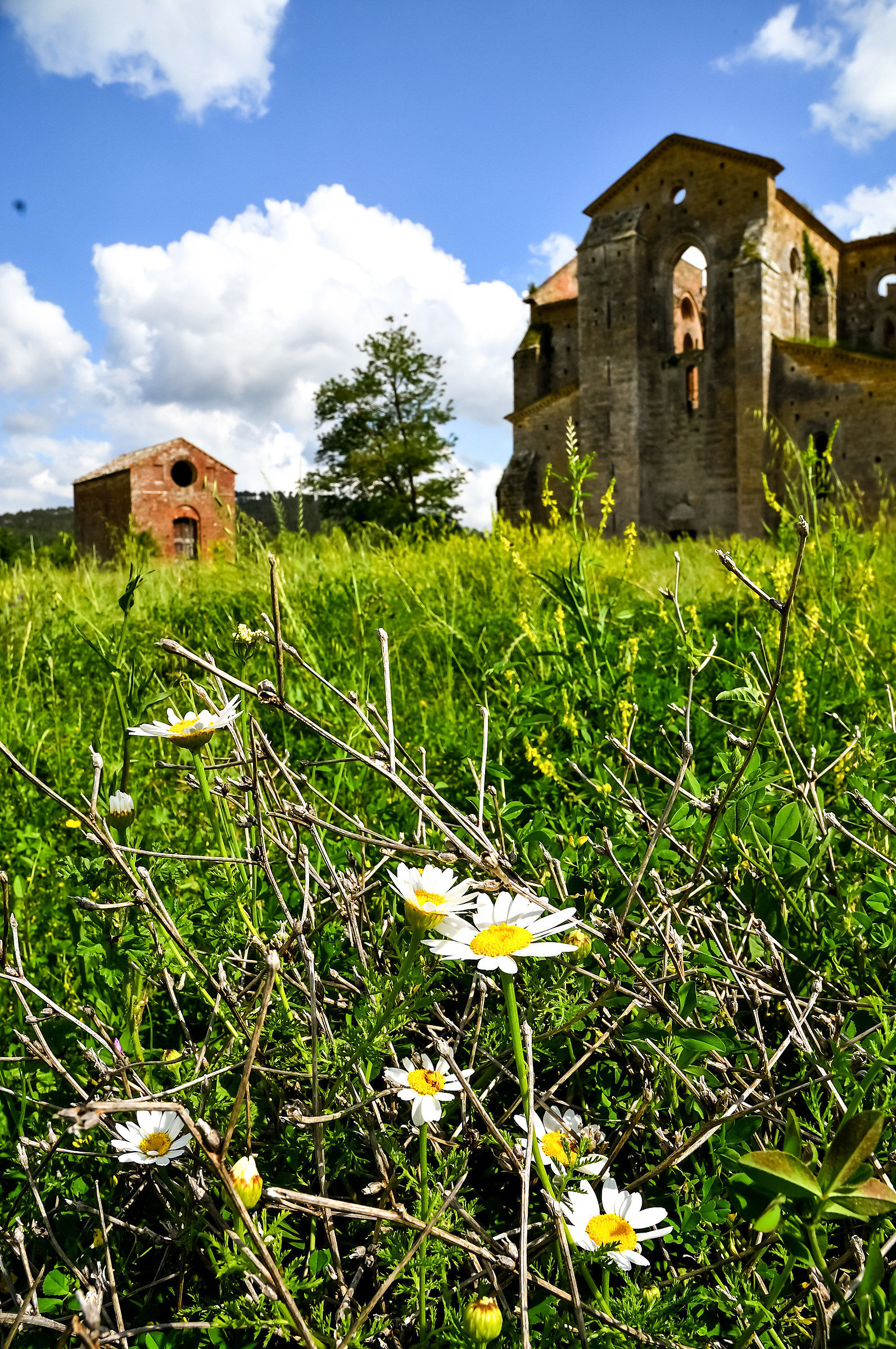 all'ombra dell'abazia