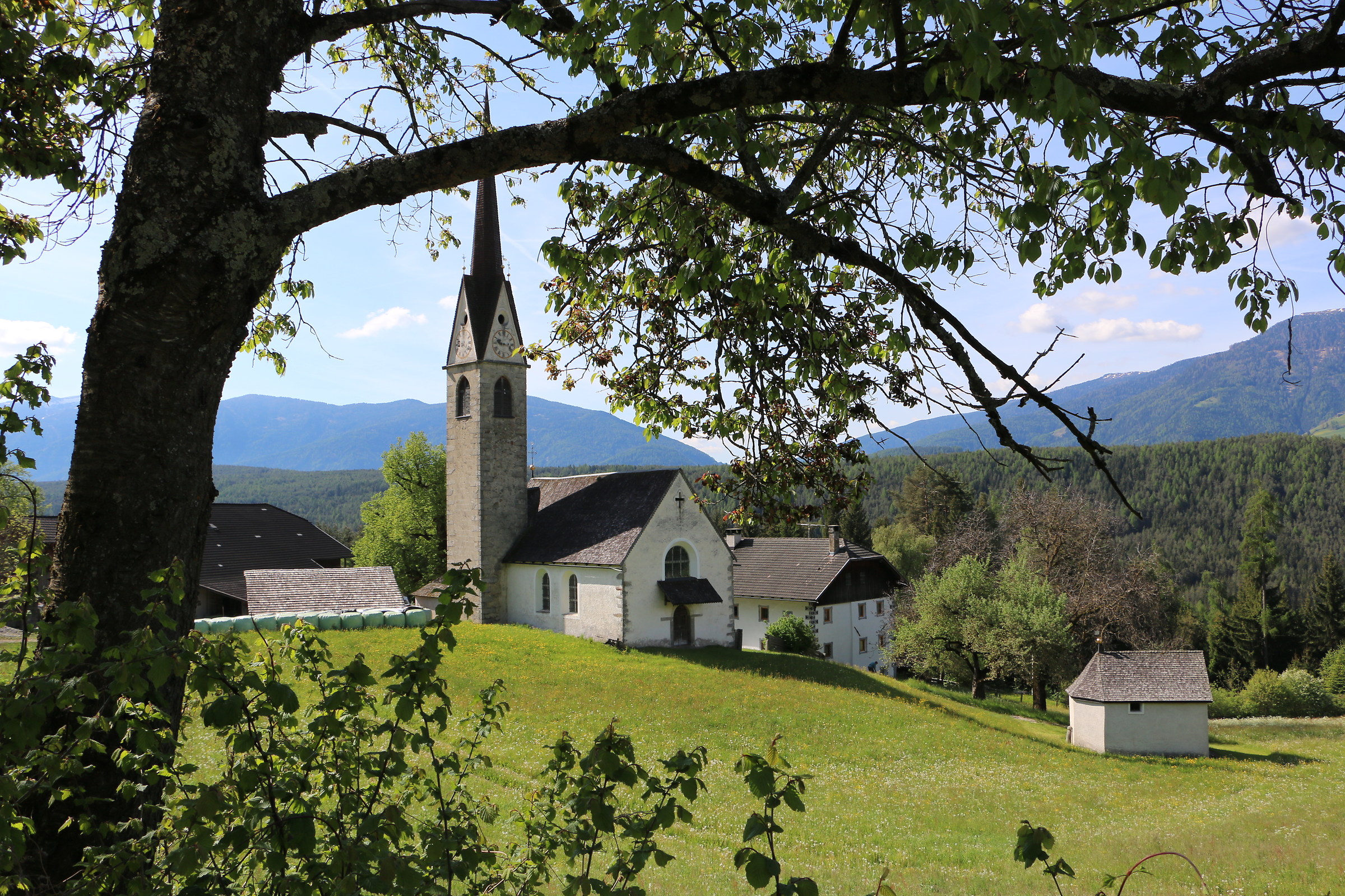 Isengo piccolo borgo di Falzes ( BZ )