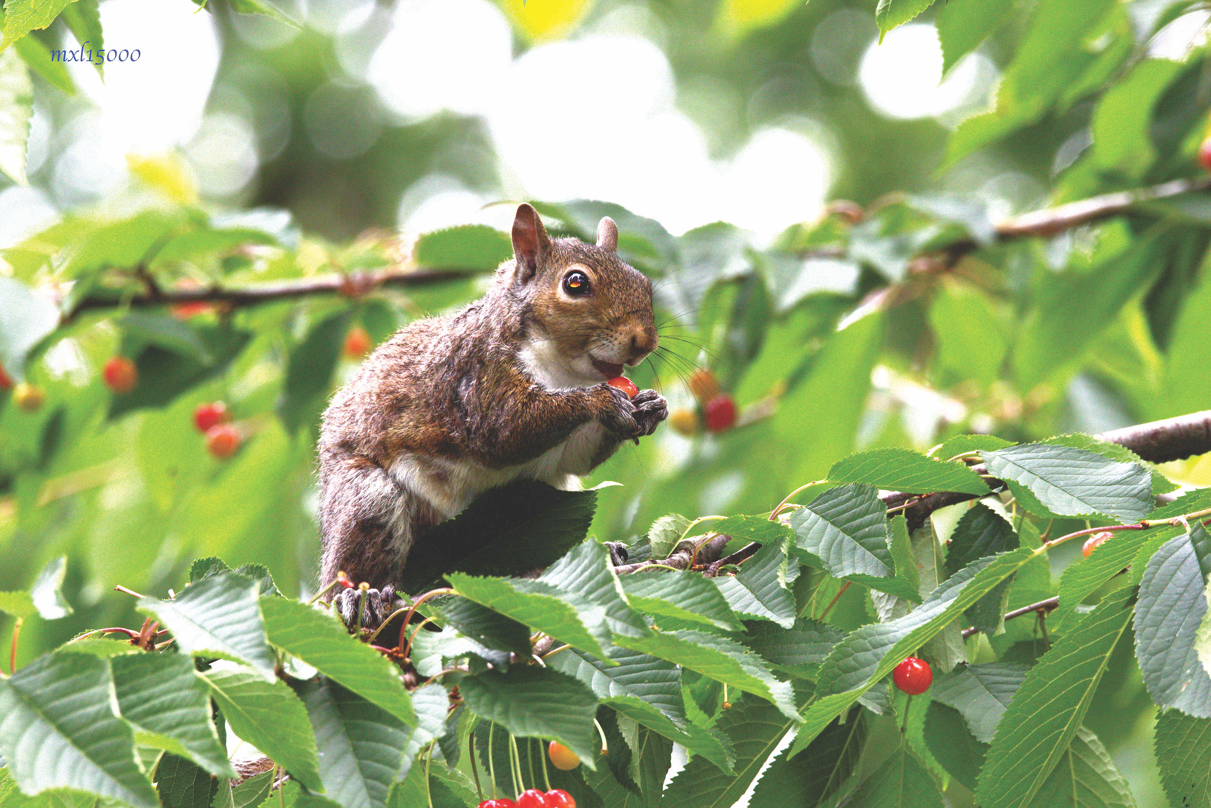 one leads to another