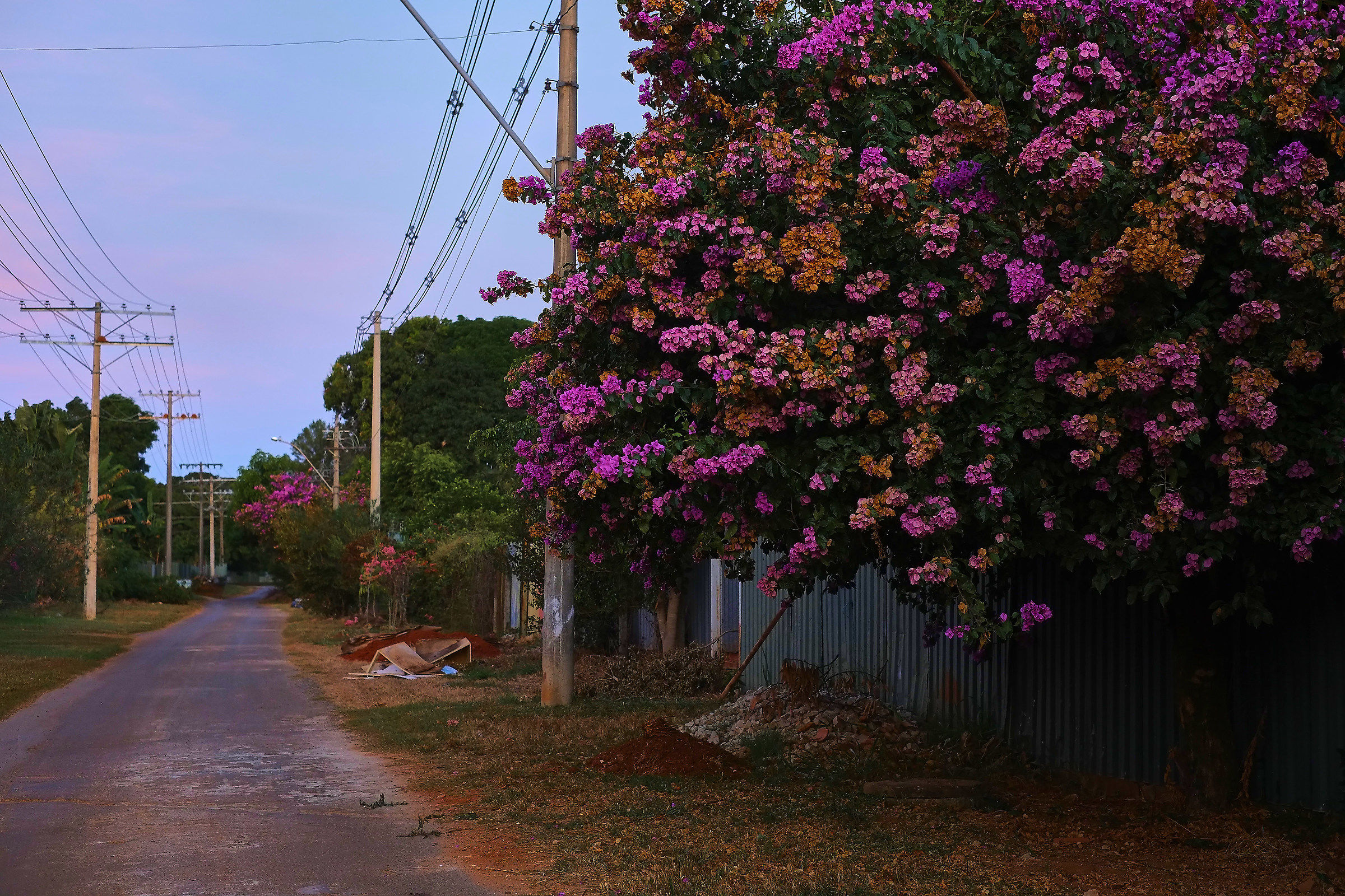 The colors of Brazil