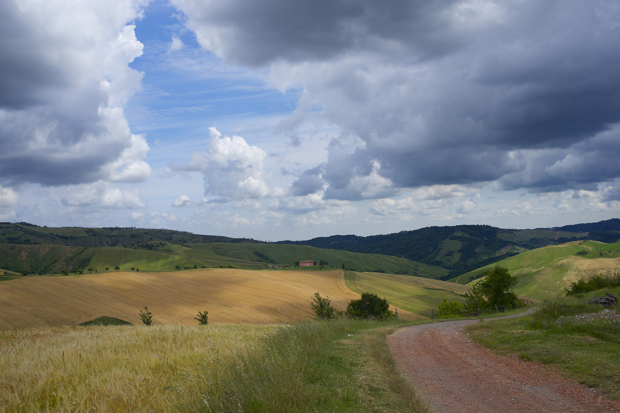 Colori sulla collina