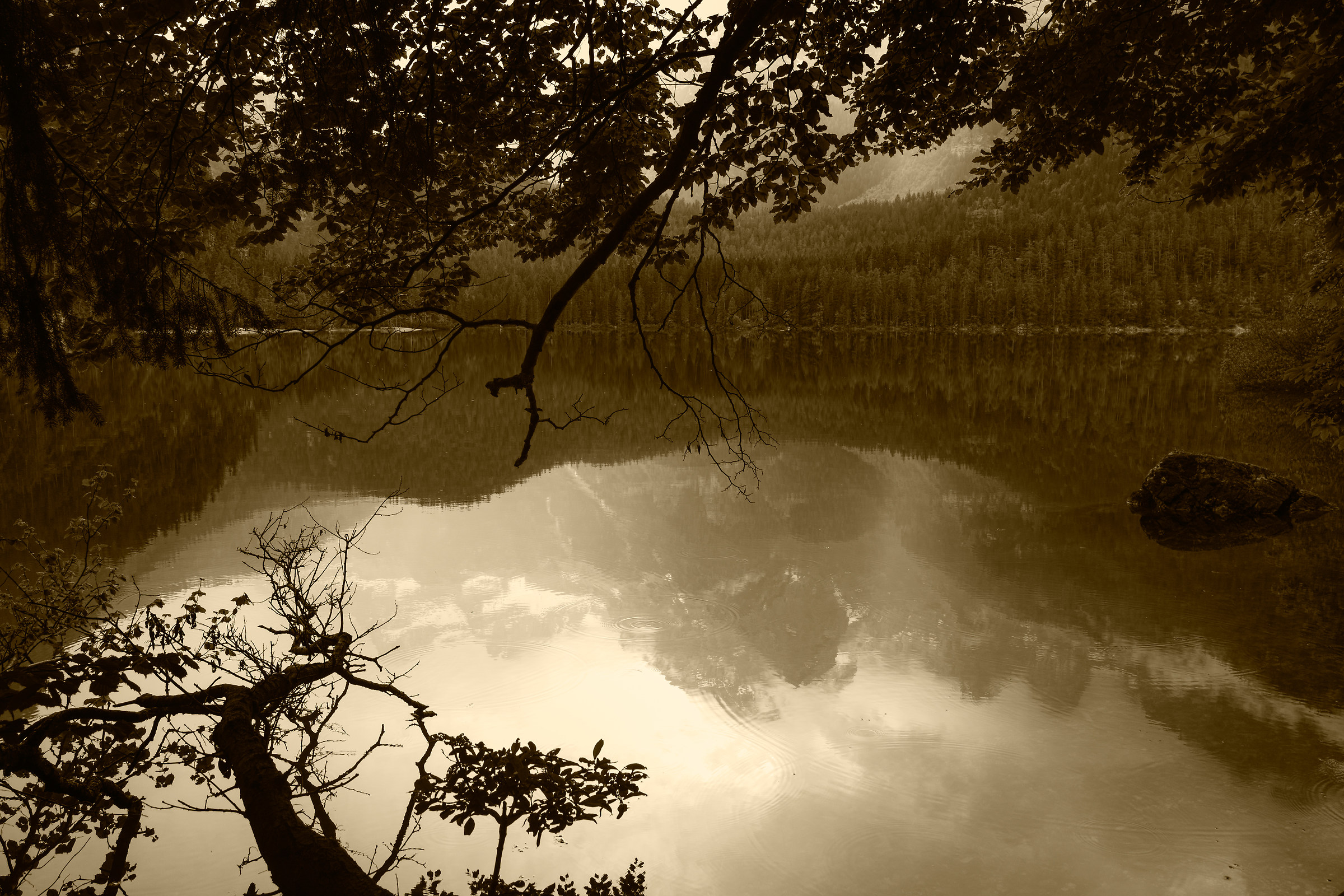 Tovel also has his monster ...