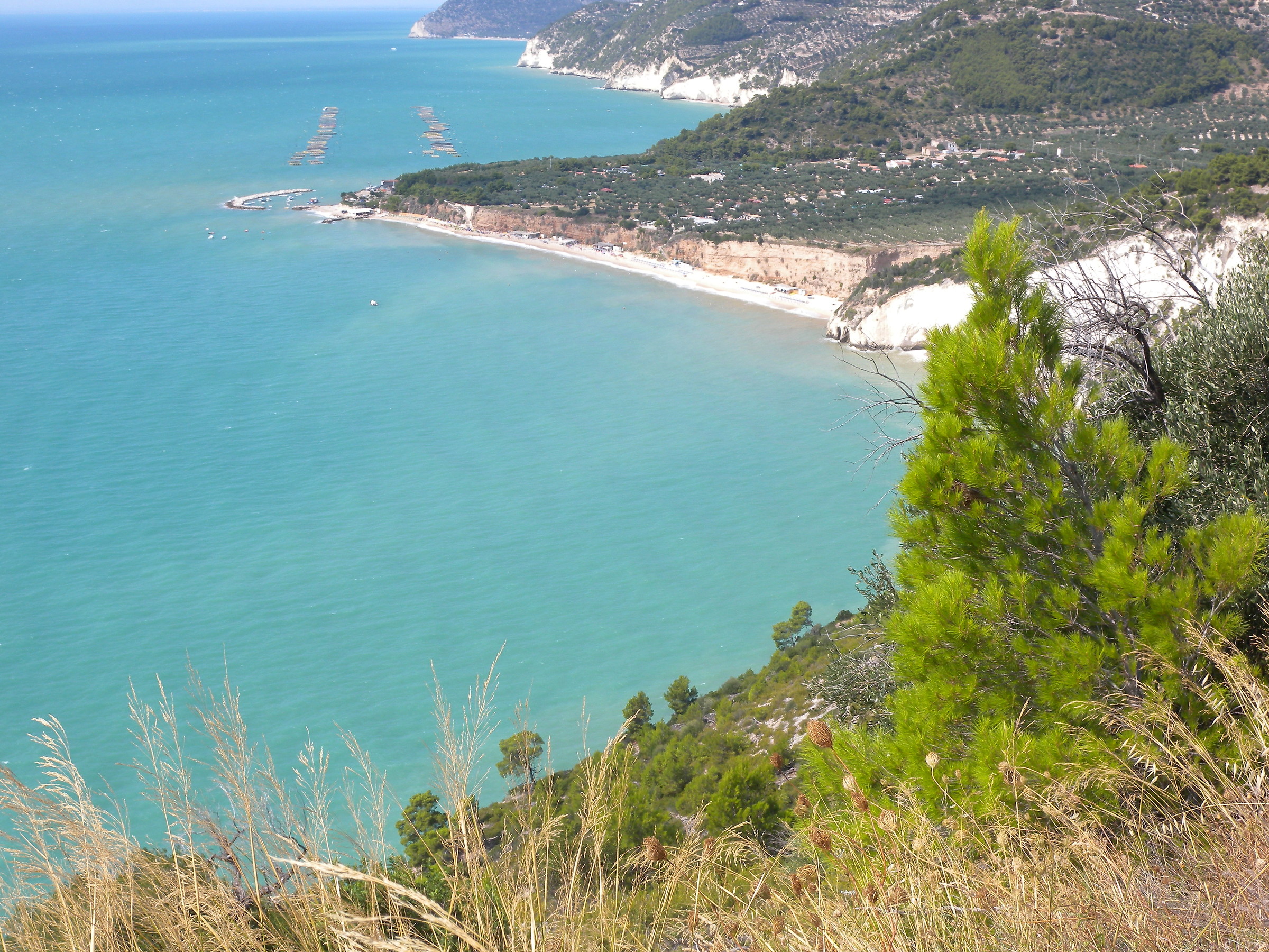 A summer in the south