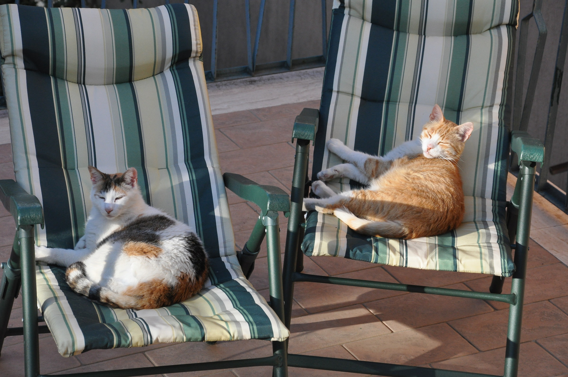 ... un pò di relax...