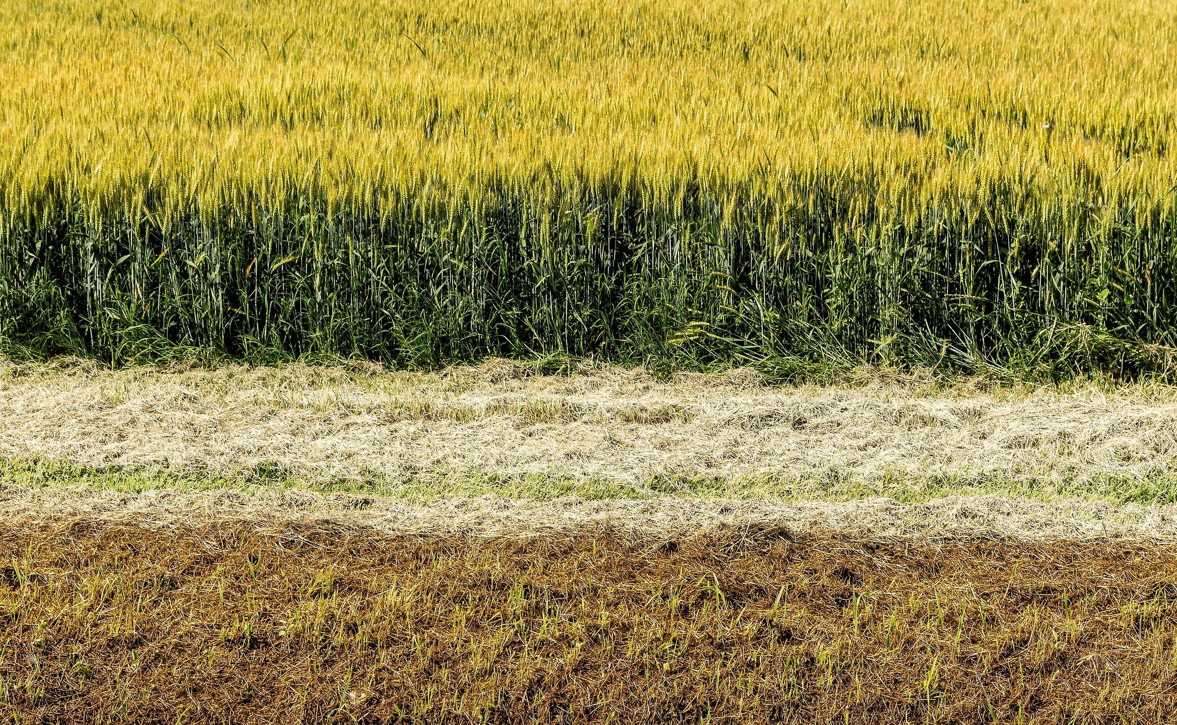 The colors of the countryside