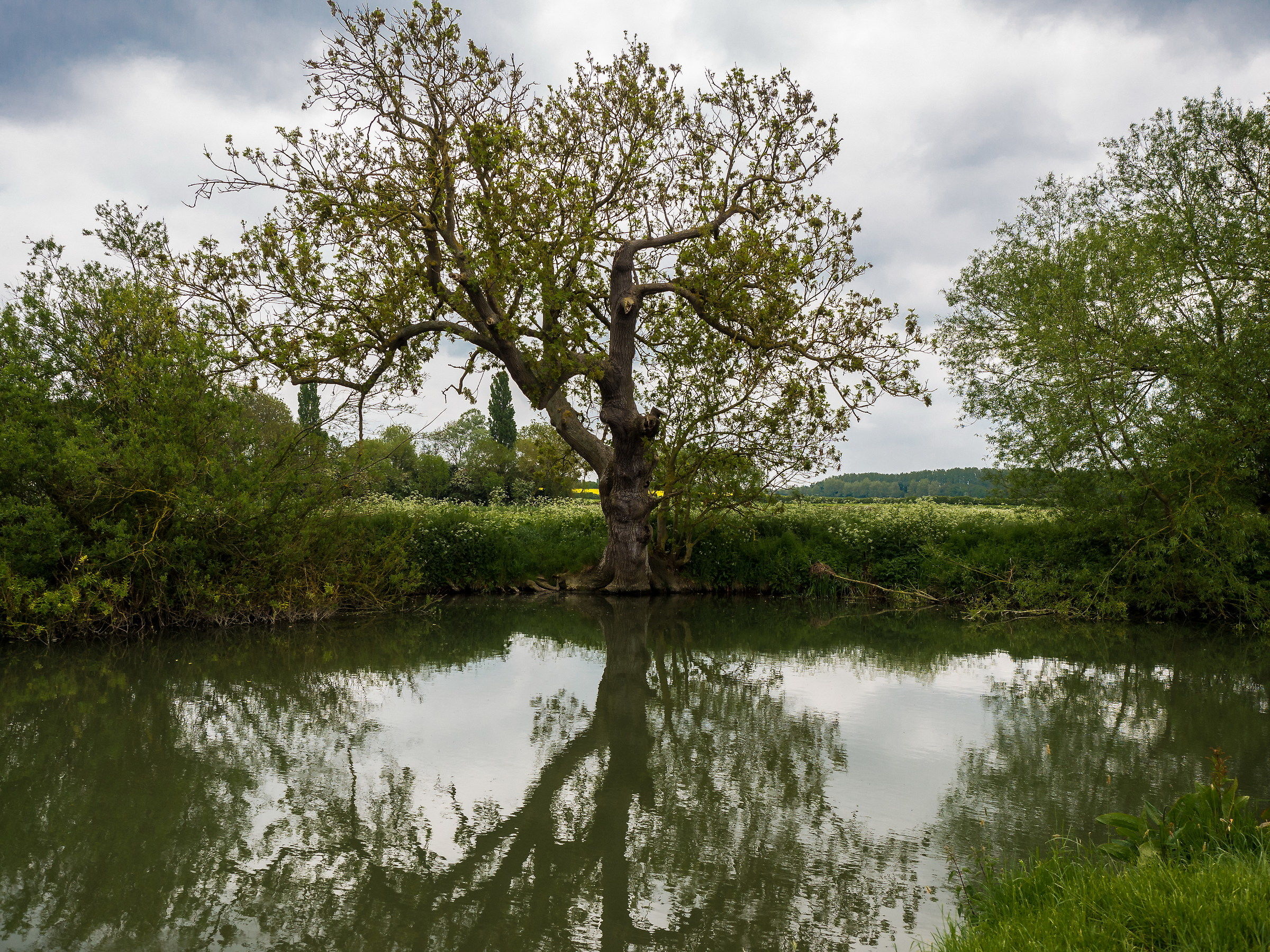 On the banks of the Cam between Cambridge and Grantchester