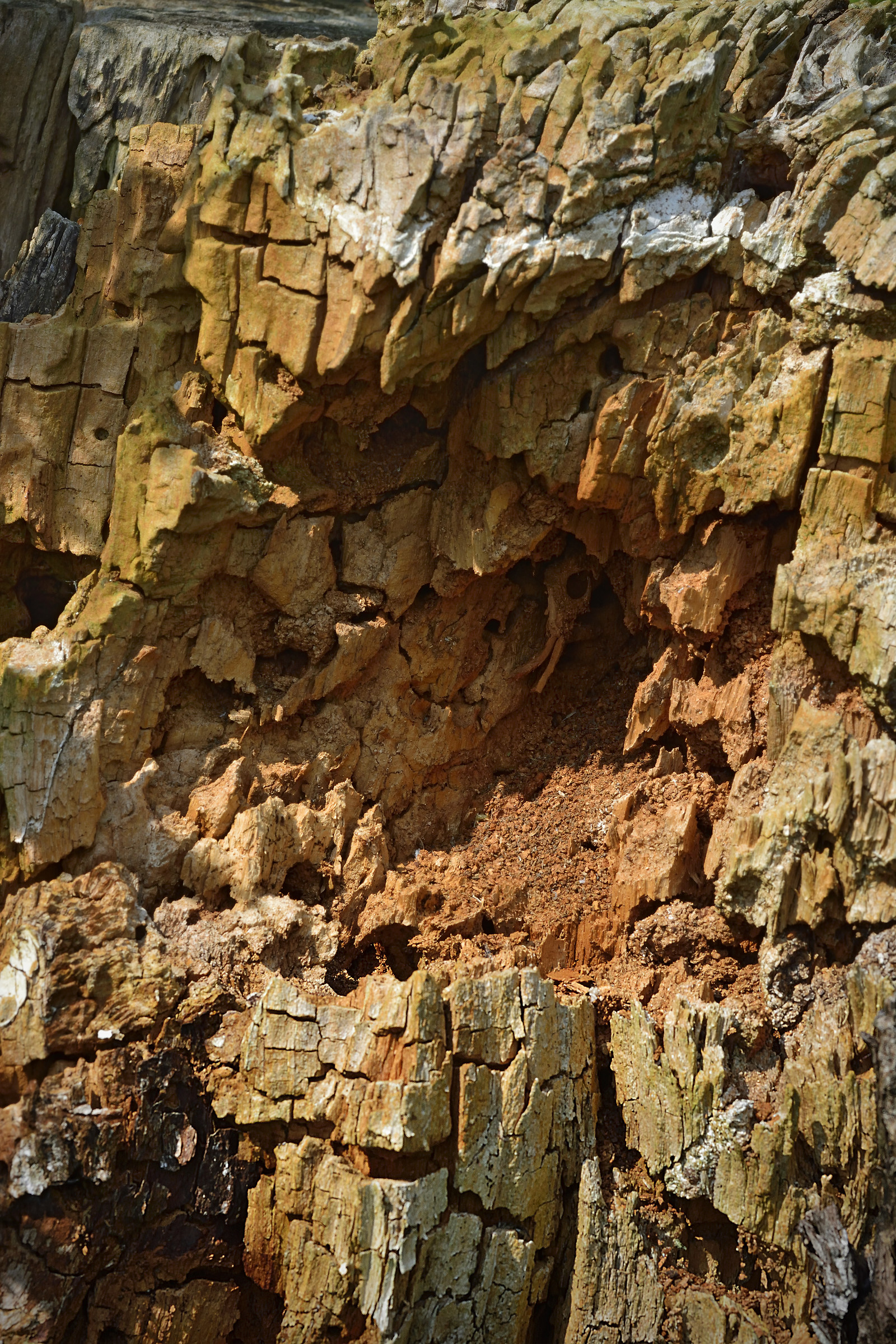 Scogliere e grotte ...