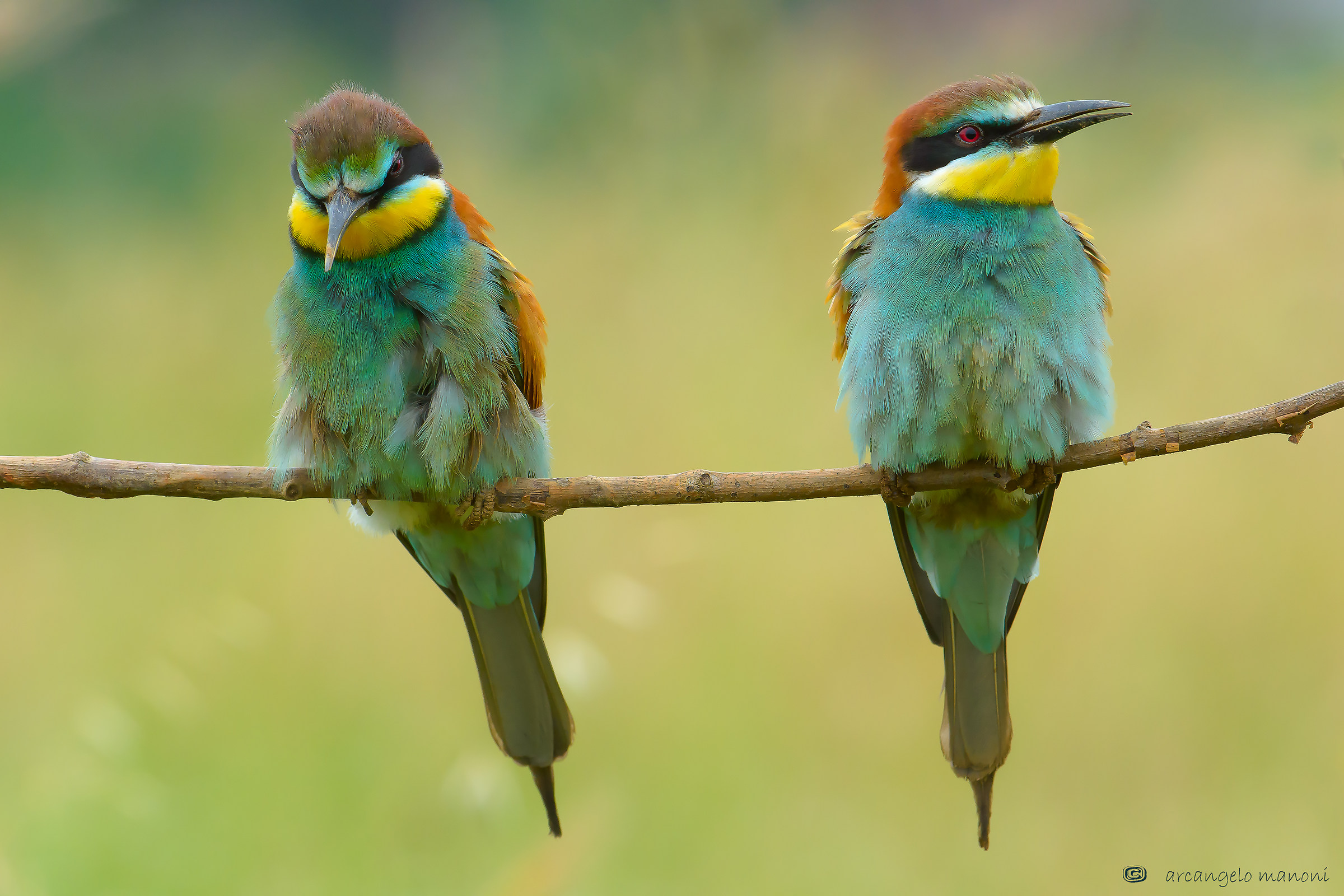 I segni dell ' alluvione